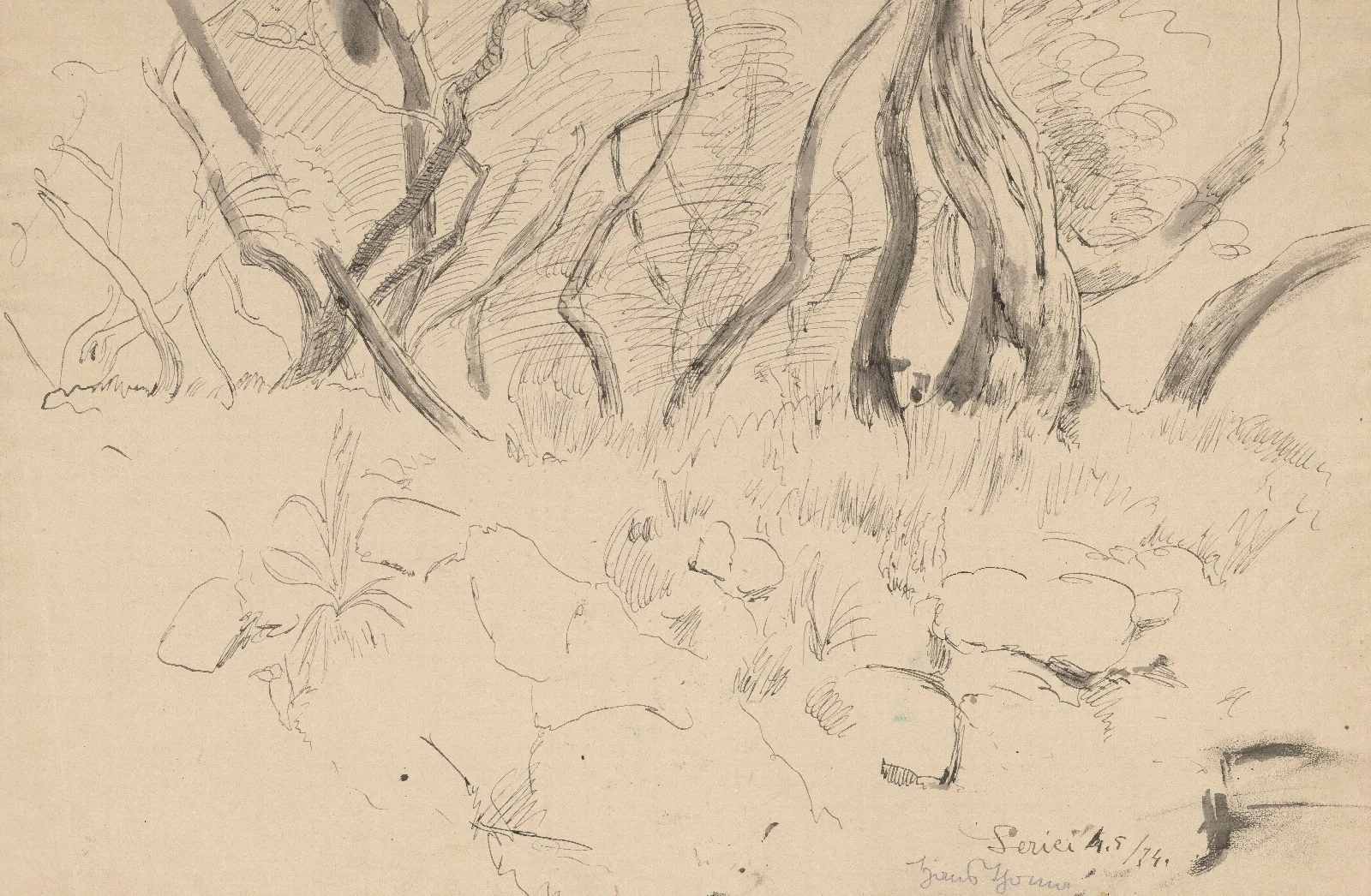 Trees Near Lerici Liguria Wall Art by Hans Thoma - Canvas Print