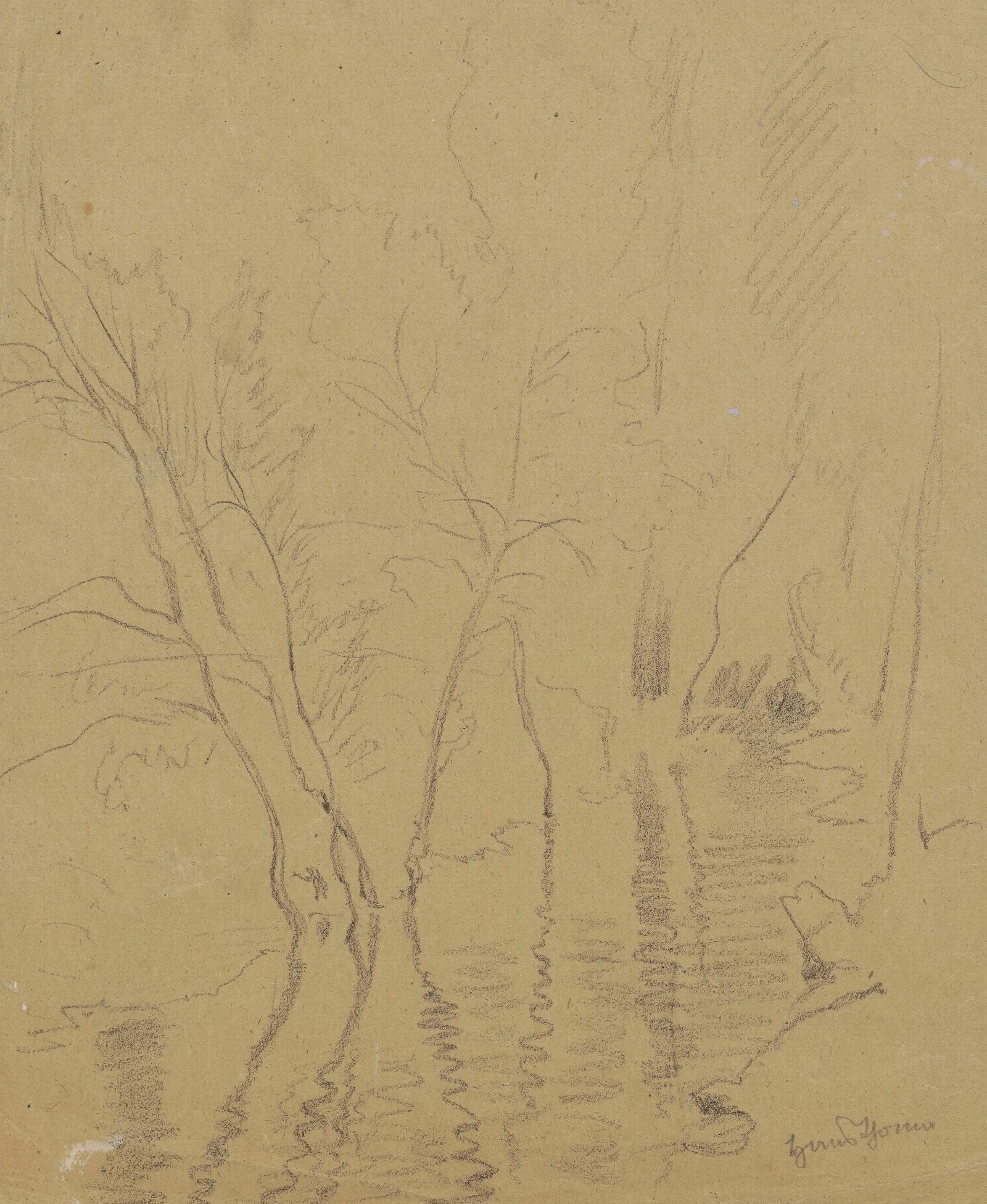Two Trees Growing By A River And Reflected In The Water Wall Art by Hans Thoma - Canvas Print