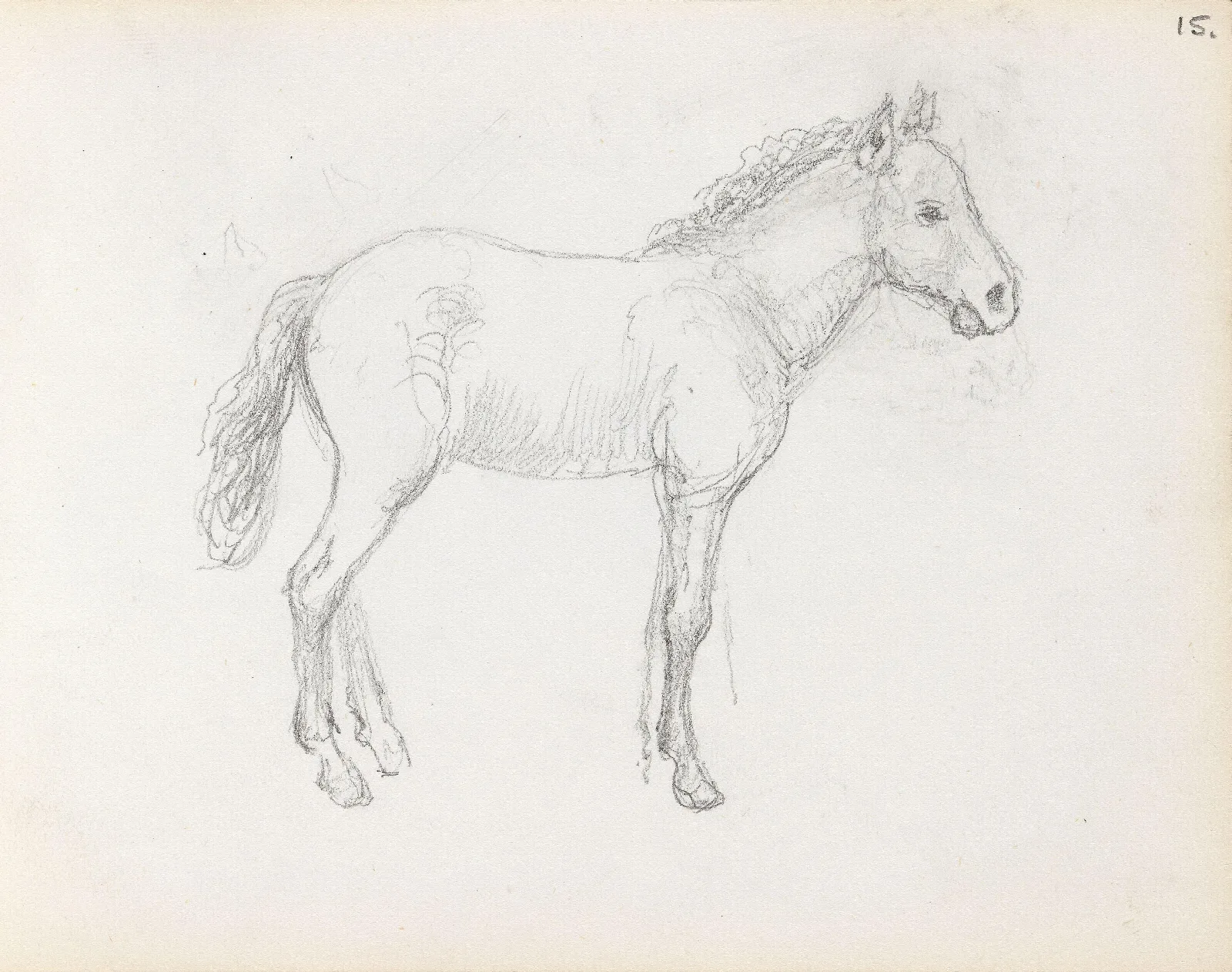 Horse Study 2 Wall Art by Adolph Tidemand - Canvas Print
