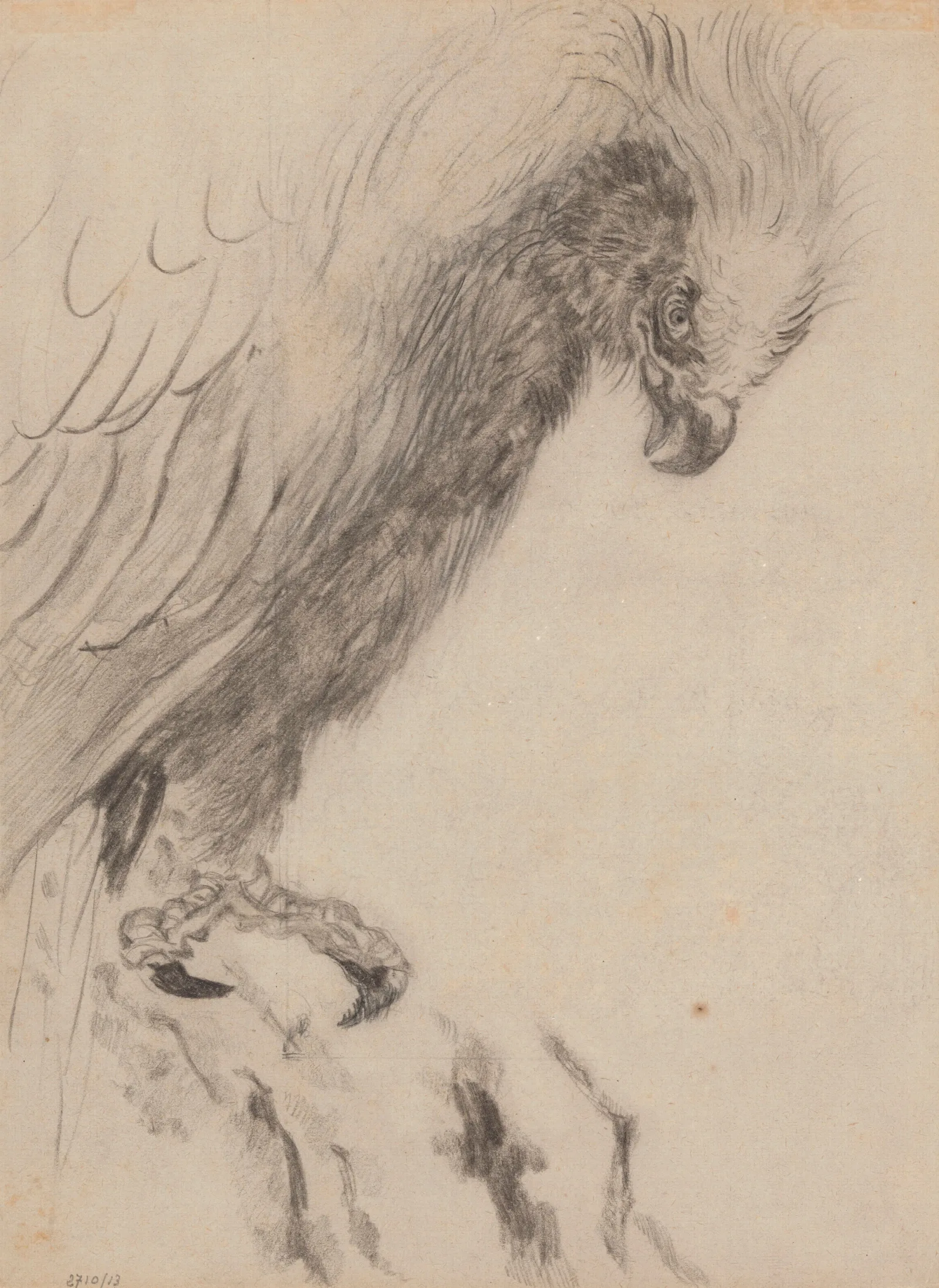 Chinoiserie A Bird Of Prey Wall Art by James Ensor - Canvas Print