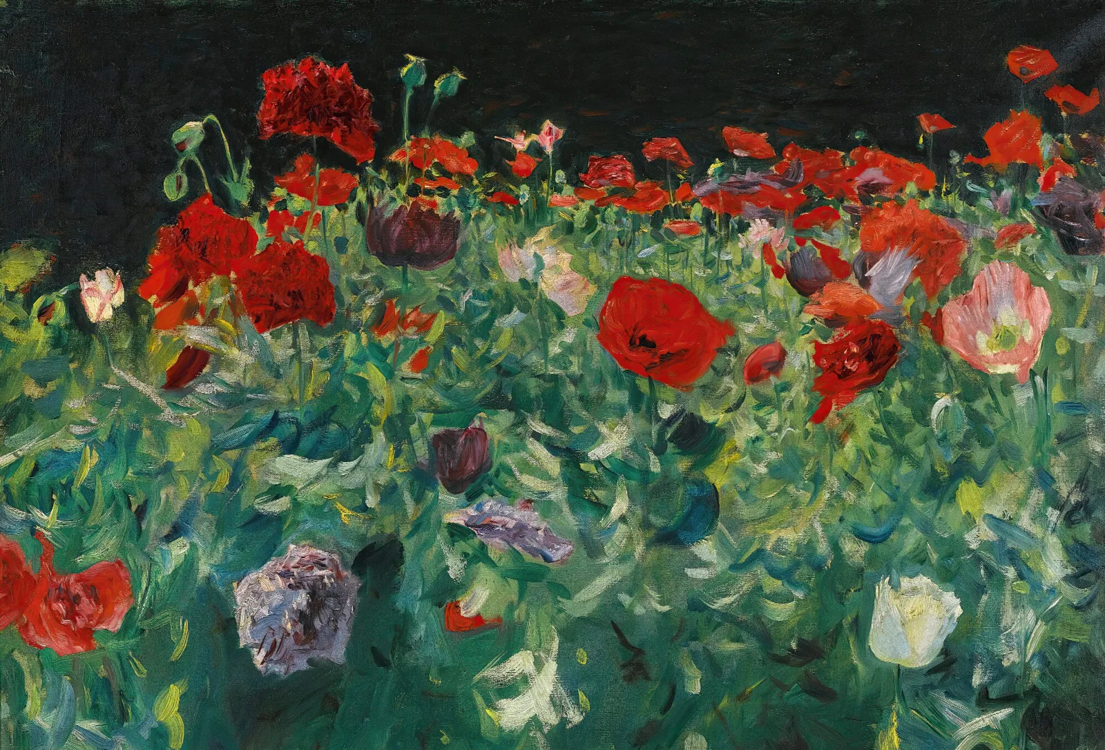 Poppies 4 Wall Art by John Singer Sargent - Canvas Print