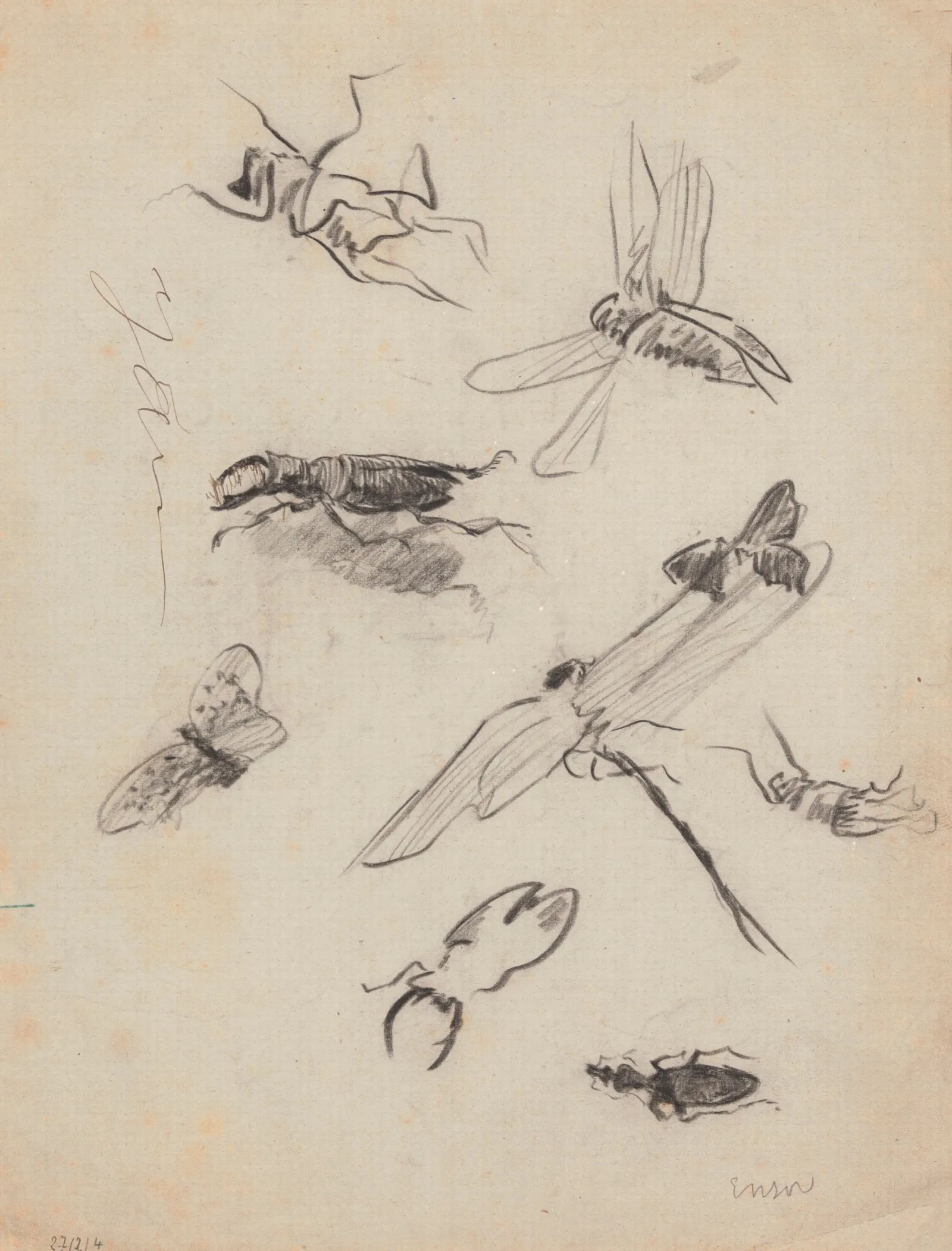 Insects 2 Wall Art by James Ensor - Canvas Print