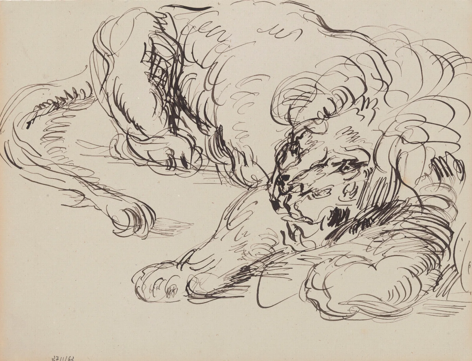 Lion Resting Wall Art by James Ensor - Canvas Print