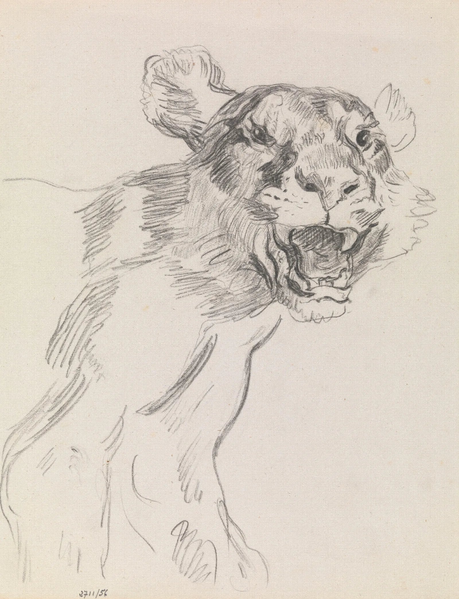 Study Of A Wild Animal Wall Art by James Ensor - Canvas Print