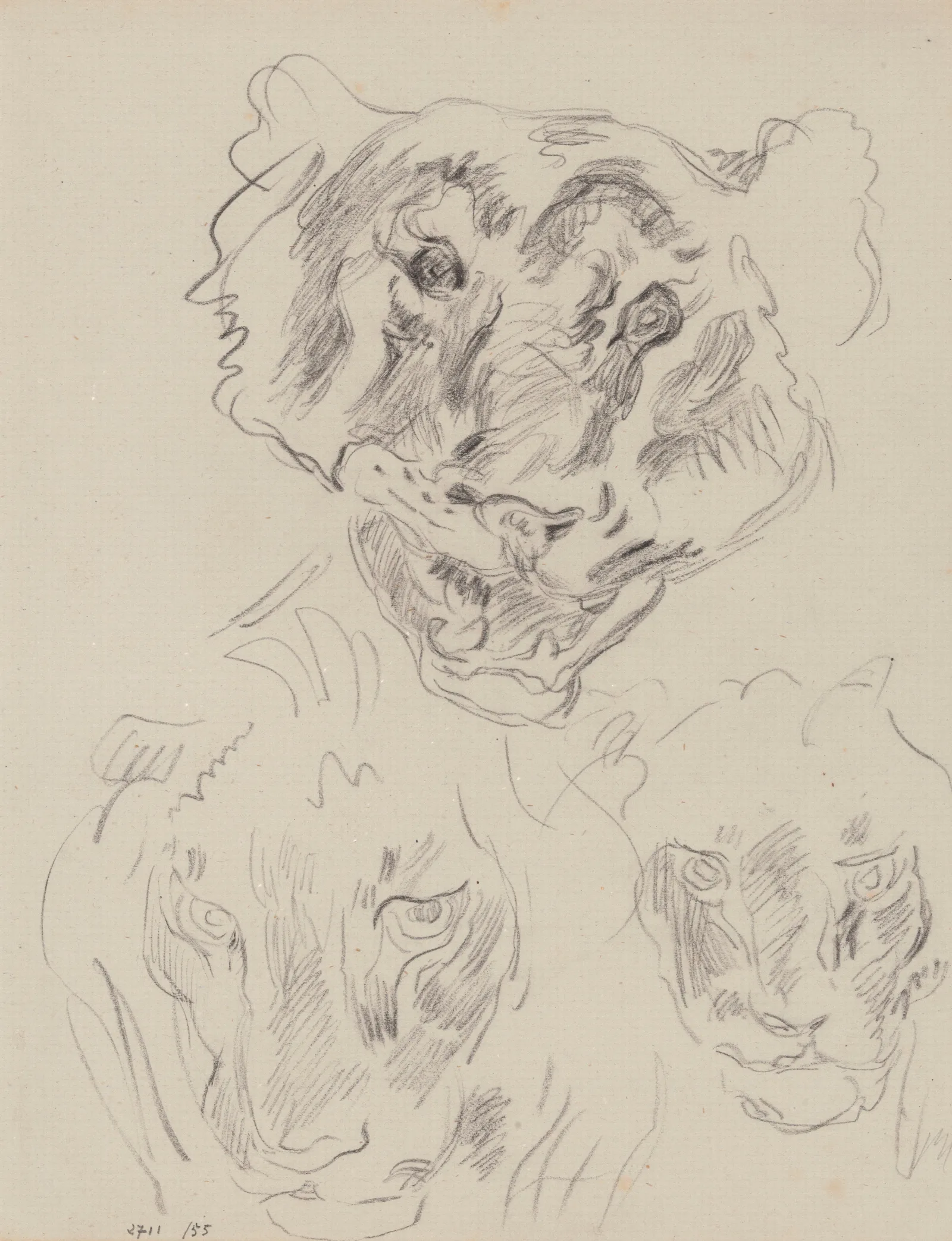 Three Heads Of Wild Animals Wall Art by James Ensor - Canvas Print