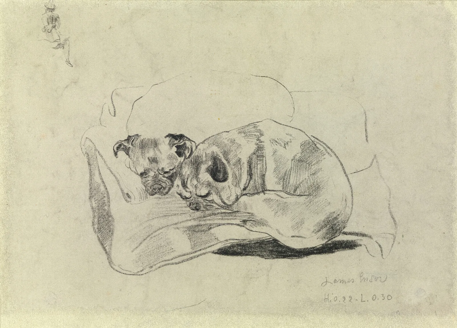 Two Dogs 4 Wall Art by James Ensor - Canvas Print