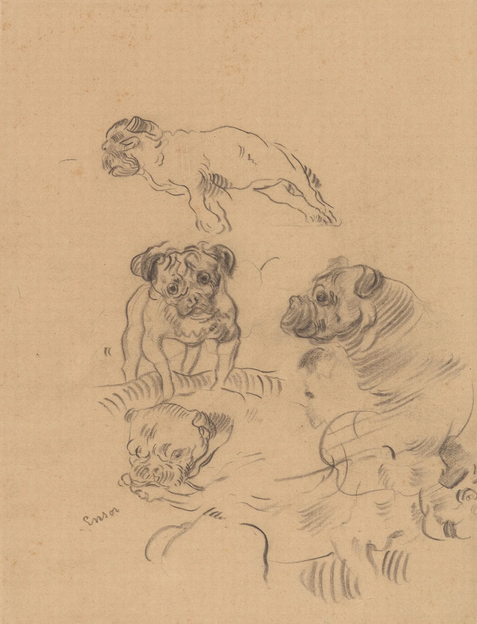 Etude De Chiens Wall Art by James Ensor - Canvas Print