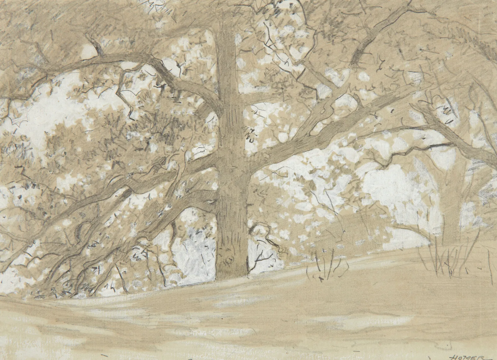 Waverly Oaks Wall Art by Winslow Homer - Canvas Print