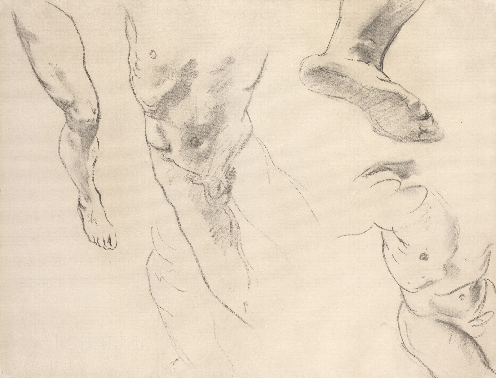 Figure Studies Of A Nude Youth Wall Art by John Singer Sargent - Canvas Print