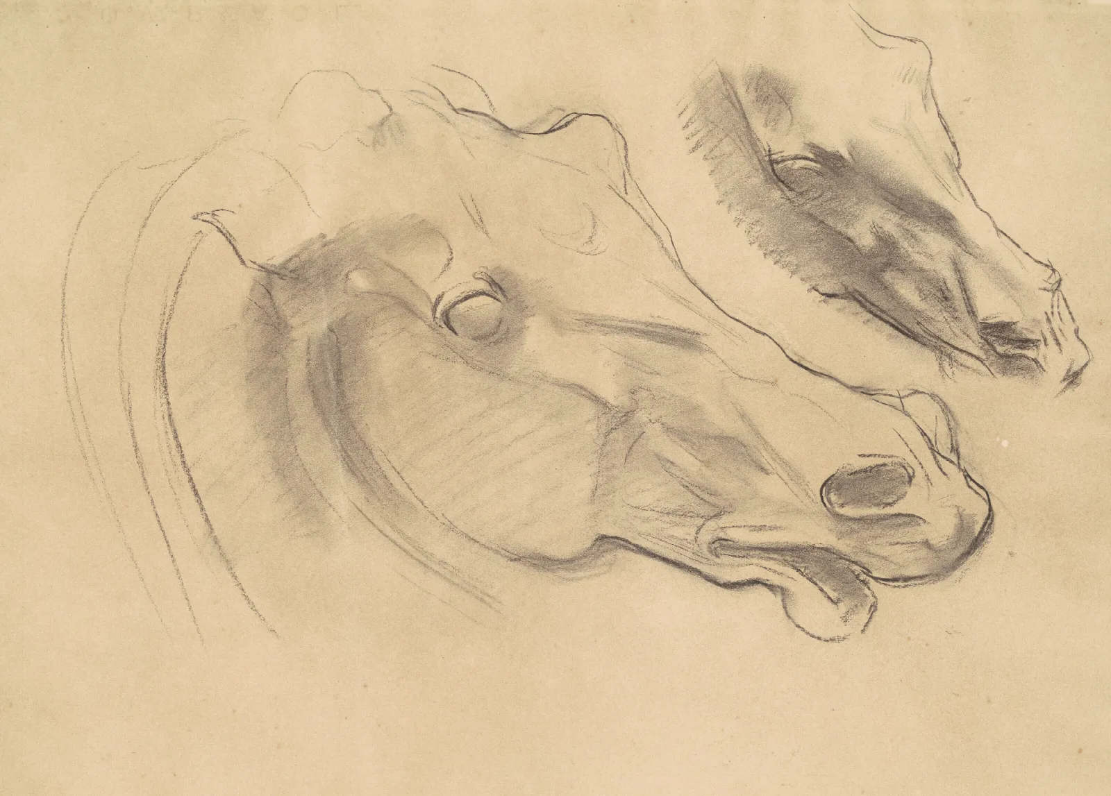 Studies For Apollo In His Chariot With The Hours Wall Art by John Singer Sargent - Canvas Print