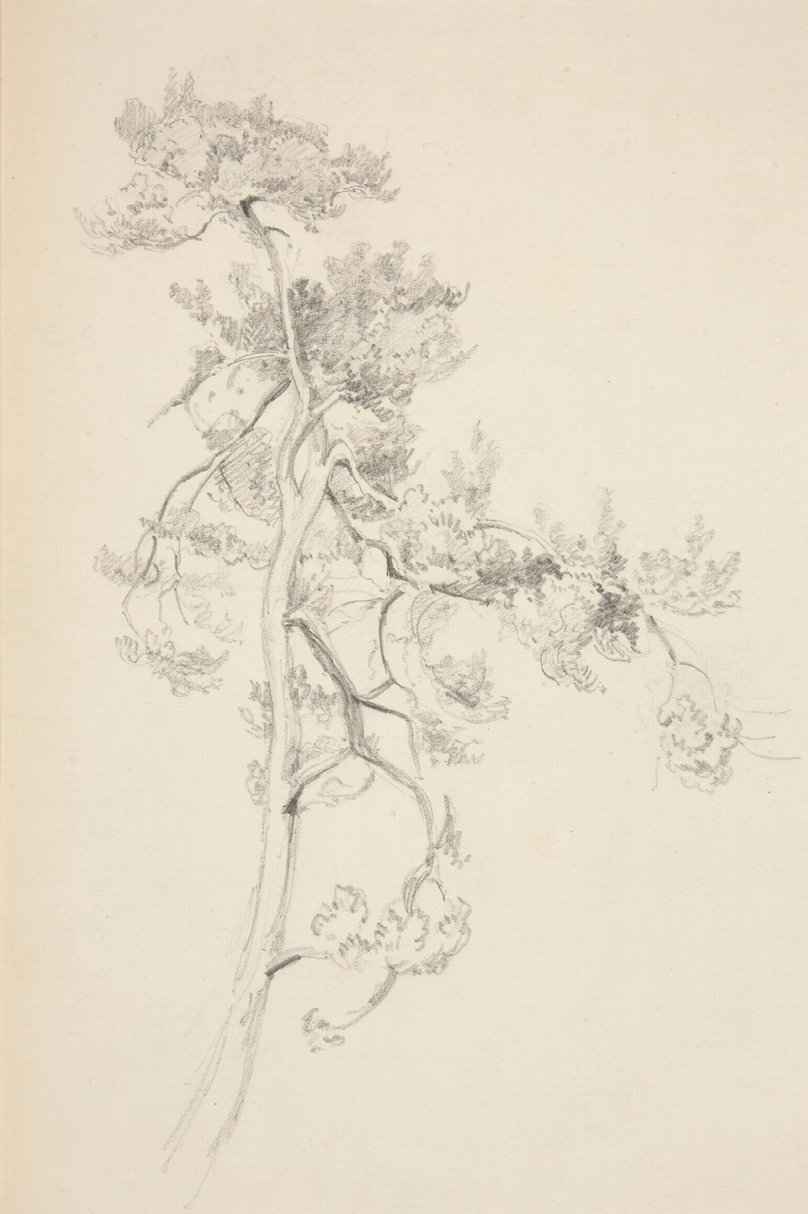 Tree And Foliage Wall Art by John Singer Sargent - Canvas Print