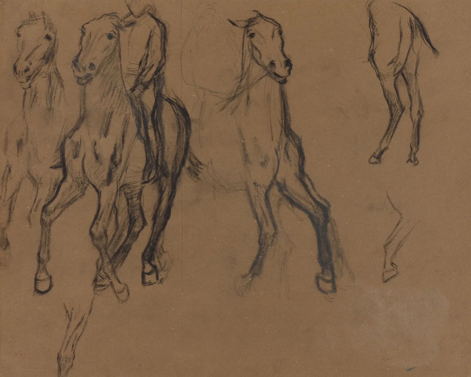 Study Of Horses Wall Art by Edgar Degas - Canvas Print