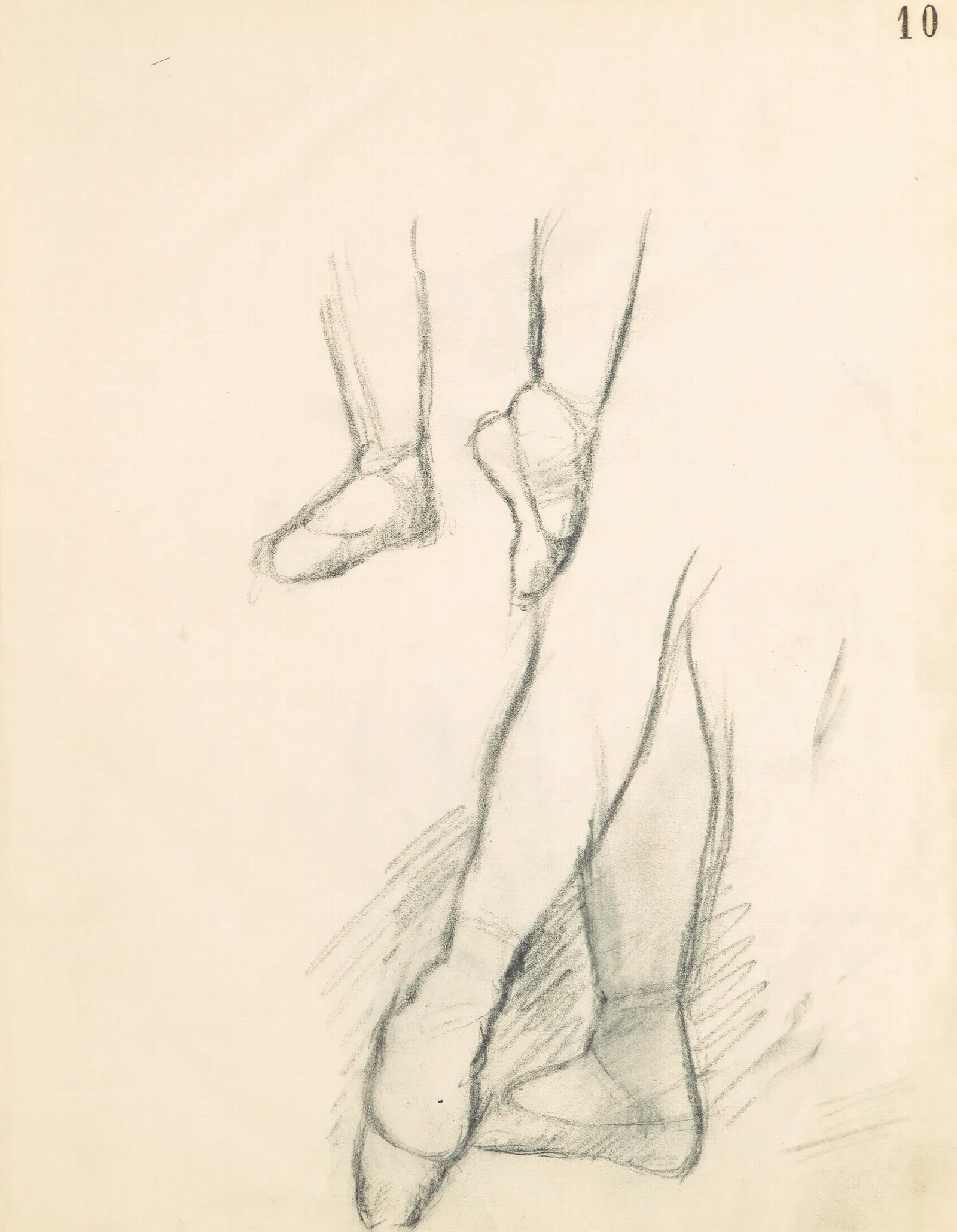Figure Studies 11 2 Wall Art by Edgar Degas - Canvas Print