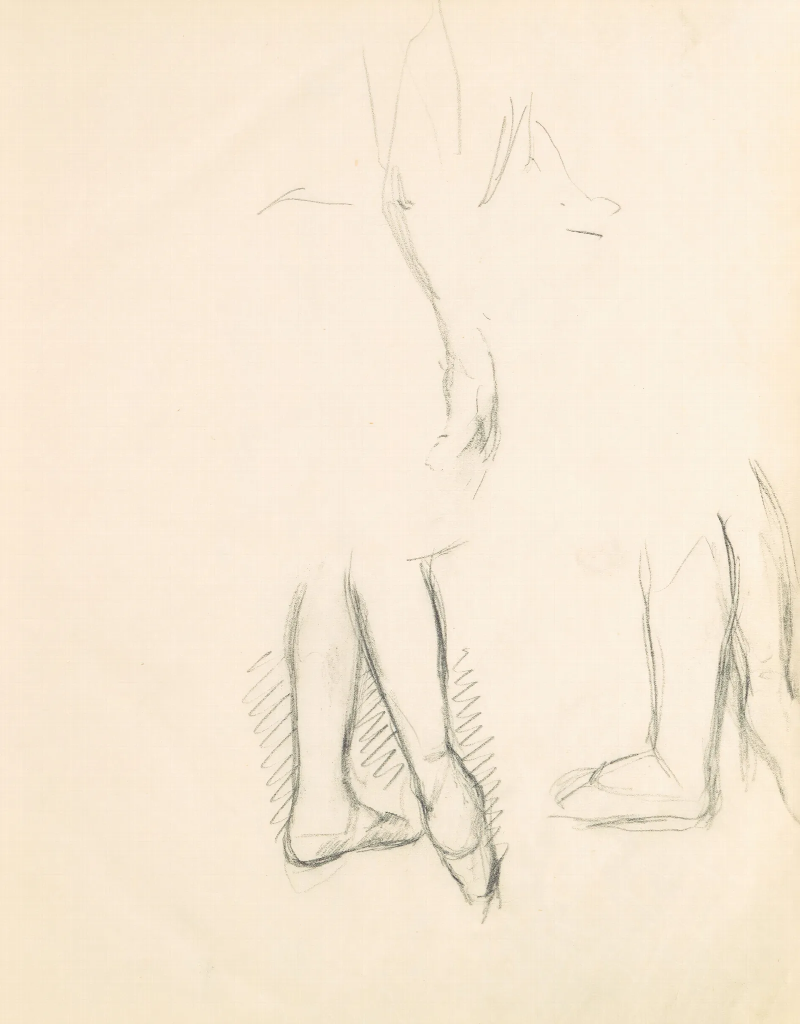 Figure Studies 13 2 Wall Art by Edgar Degas - Canvas Print