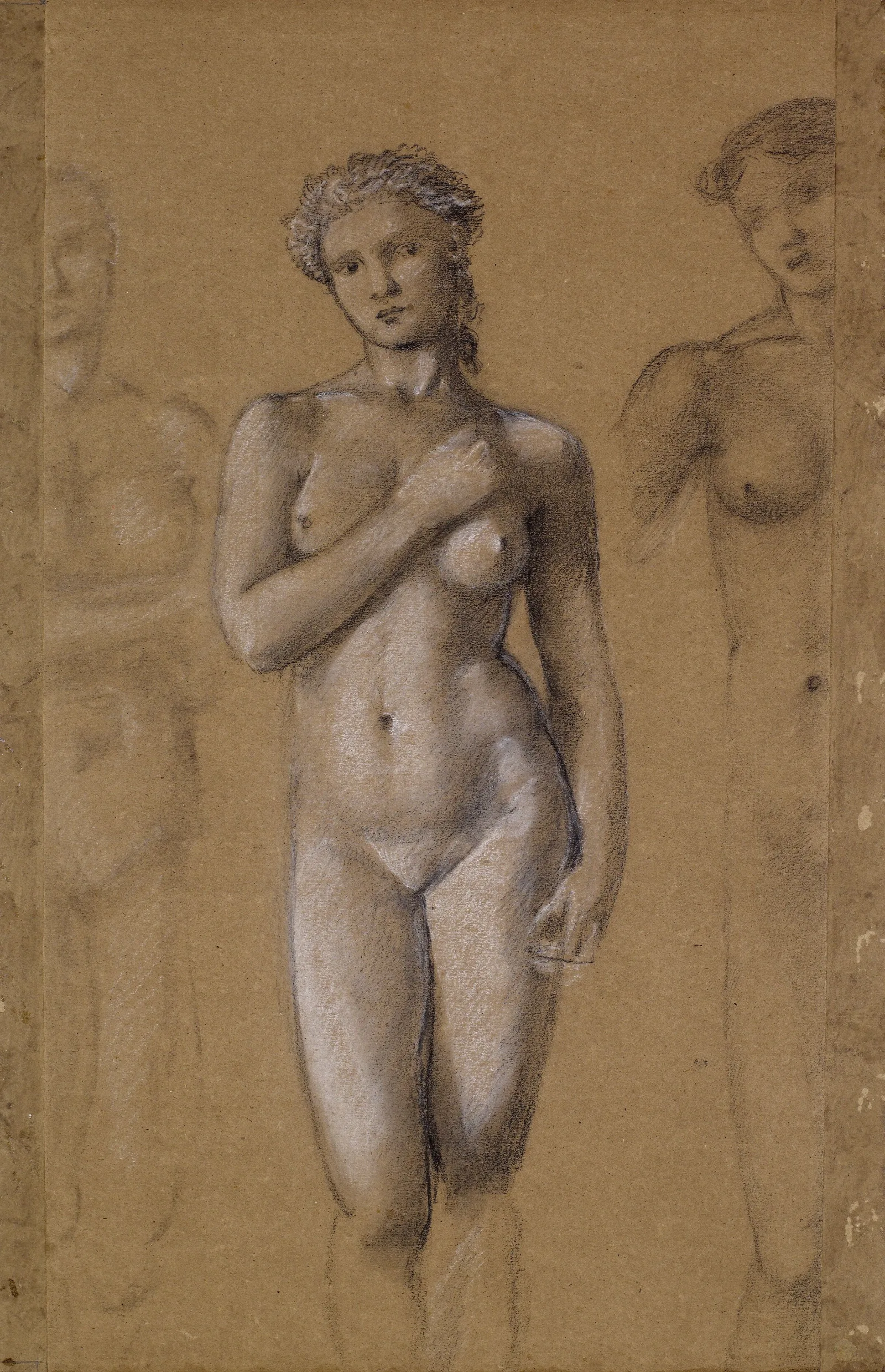 Female Nude Three Studies Possibly For Venus Wall Art by Sir Edward Coley Burne-Jones - Canvas Print