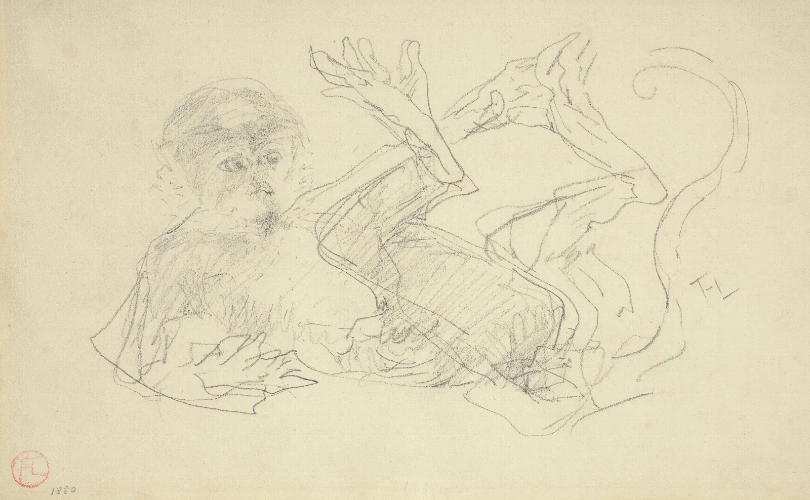 A Monkey Playing On His Back Wall Art by Henri de Toulouse-Lautrec - Canvas Print