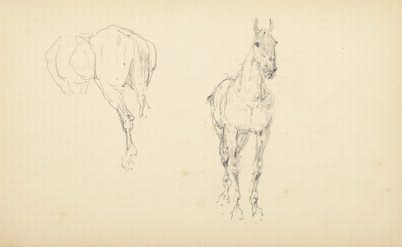 Etude De Chevaux 2 Wall Art by Henri de Toulouse-Lautrec - Canvas Print