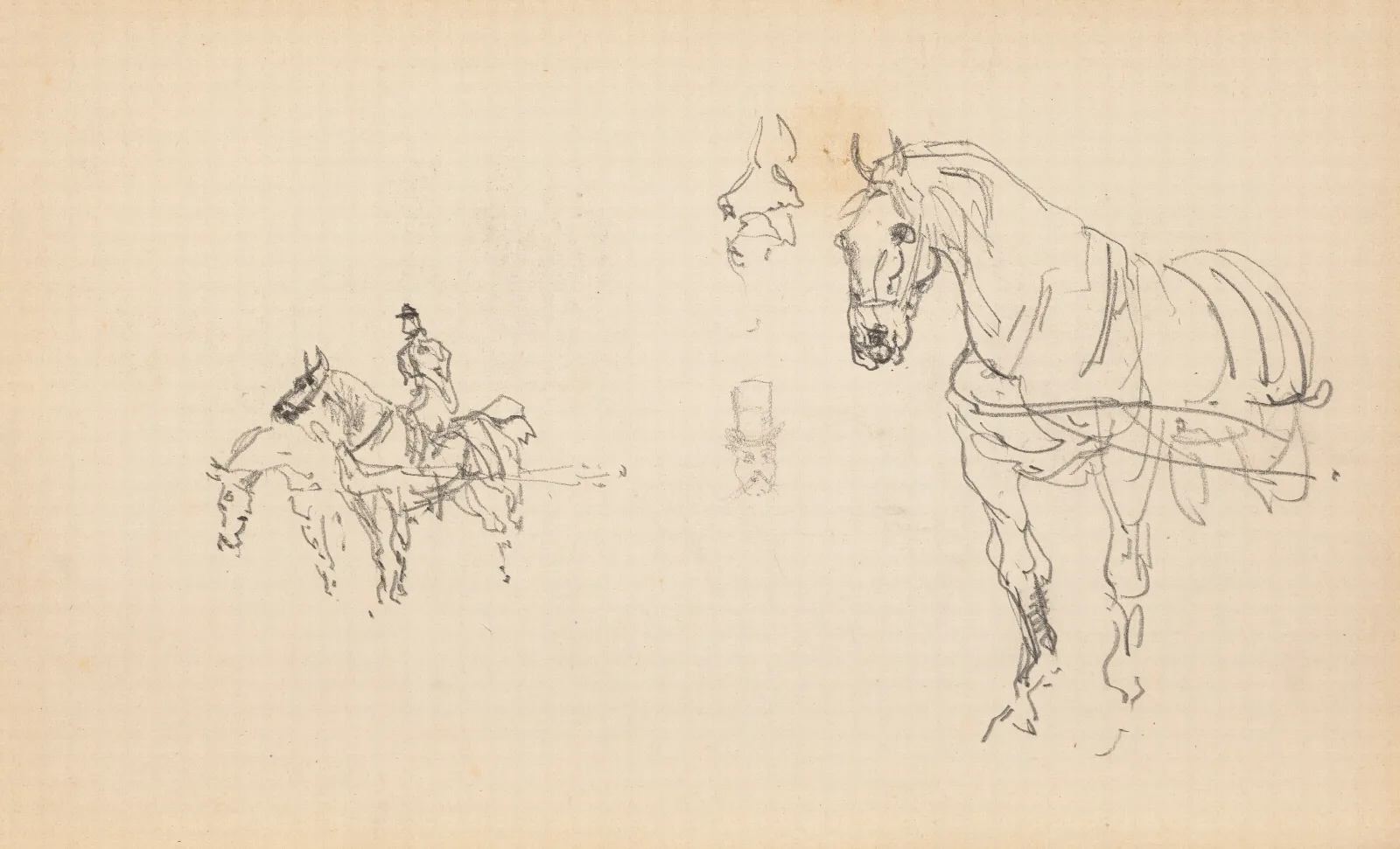 Chevaux Wall Art by Henri de Toulouse-Lautrec - Canvas Print