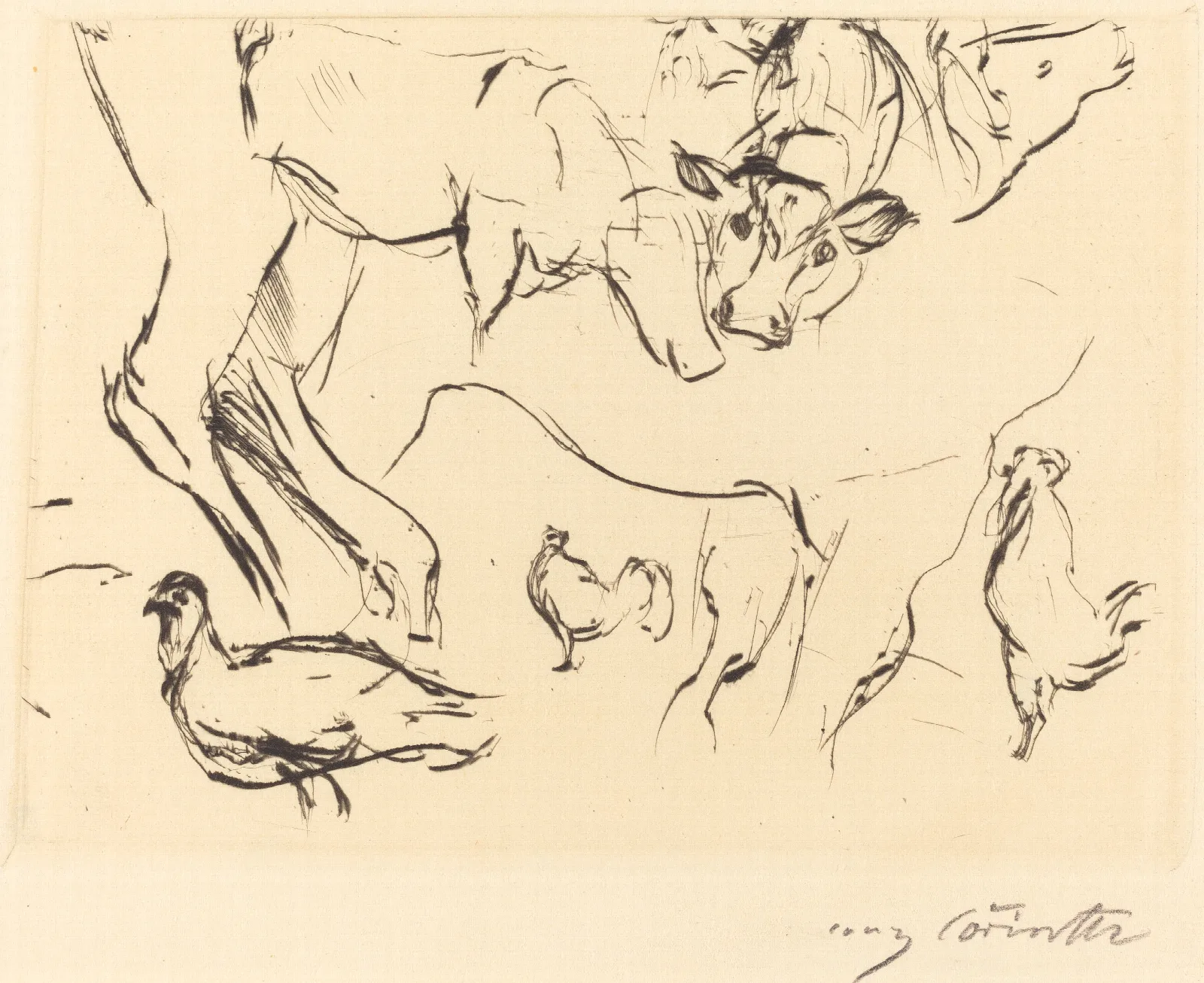 Animal Studies Verschiedene Tierstudien Wall Art by Lovis Corinth - Canvas Print
