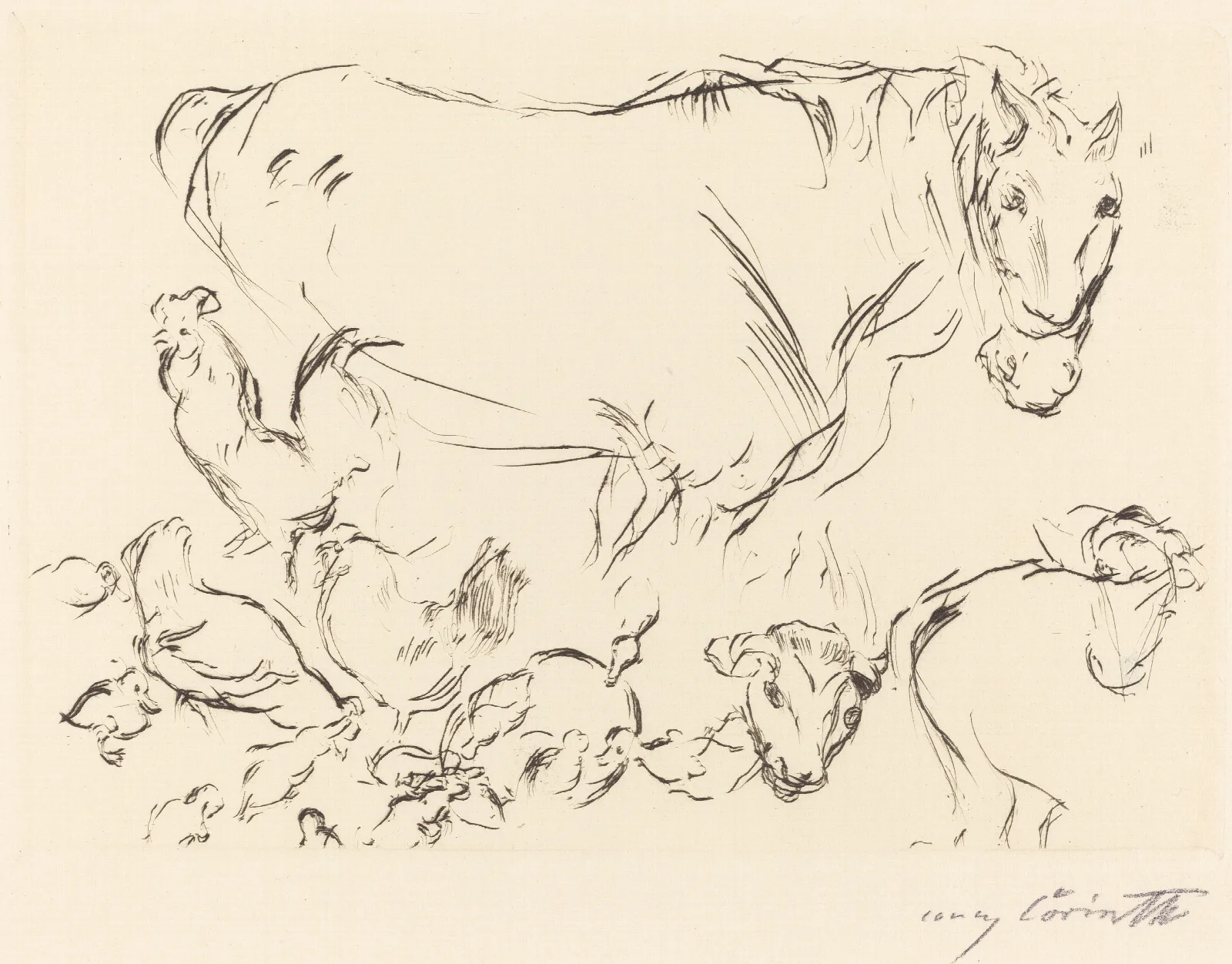 Animal Studies Verschiedene Tierstudien 2 Wall Art by Lovis Corinth - Canvas Print