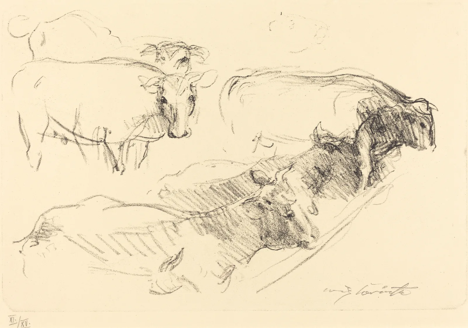 Cows Kuhe Wall Art by Lovis Corinth - Canvas Print