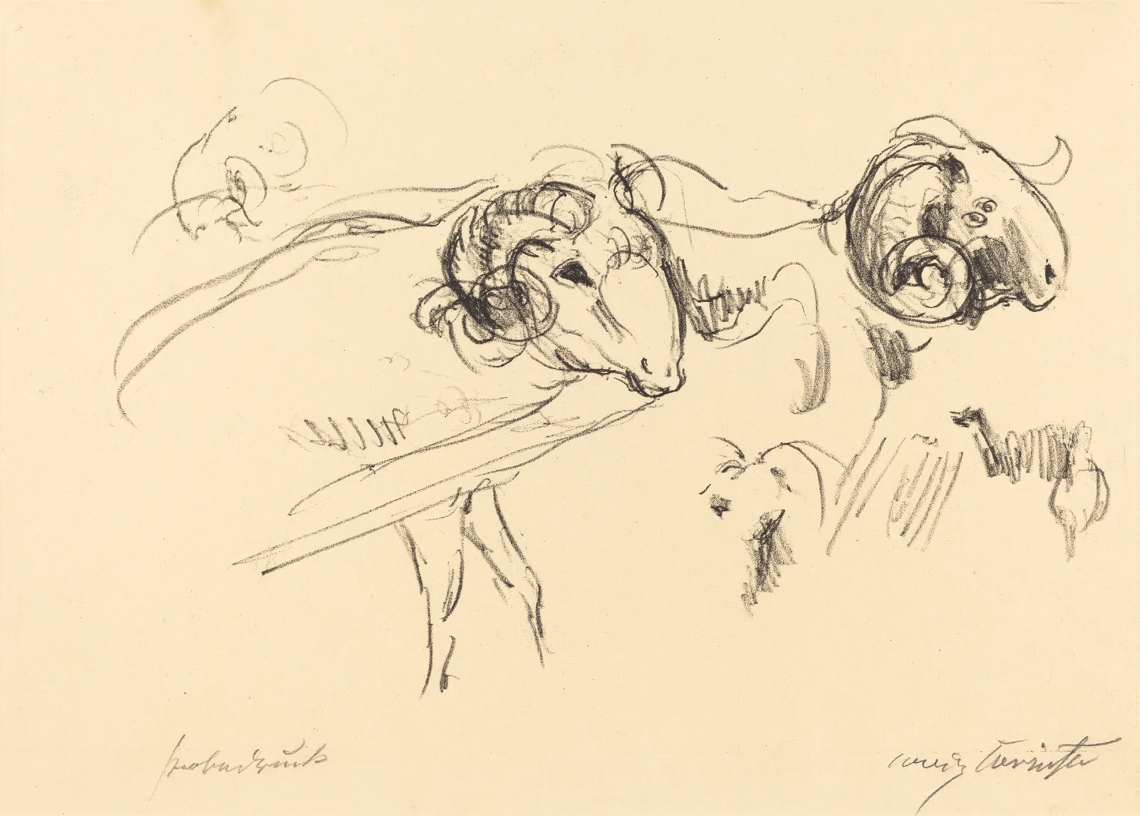 Rams Schafbocke Wall Art by Lovis Corinth - Canvas Print