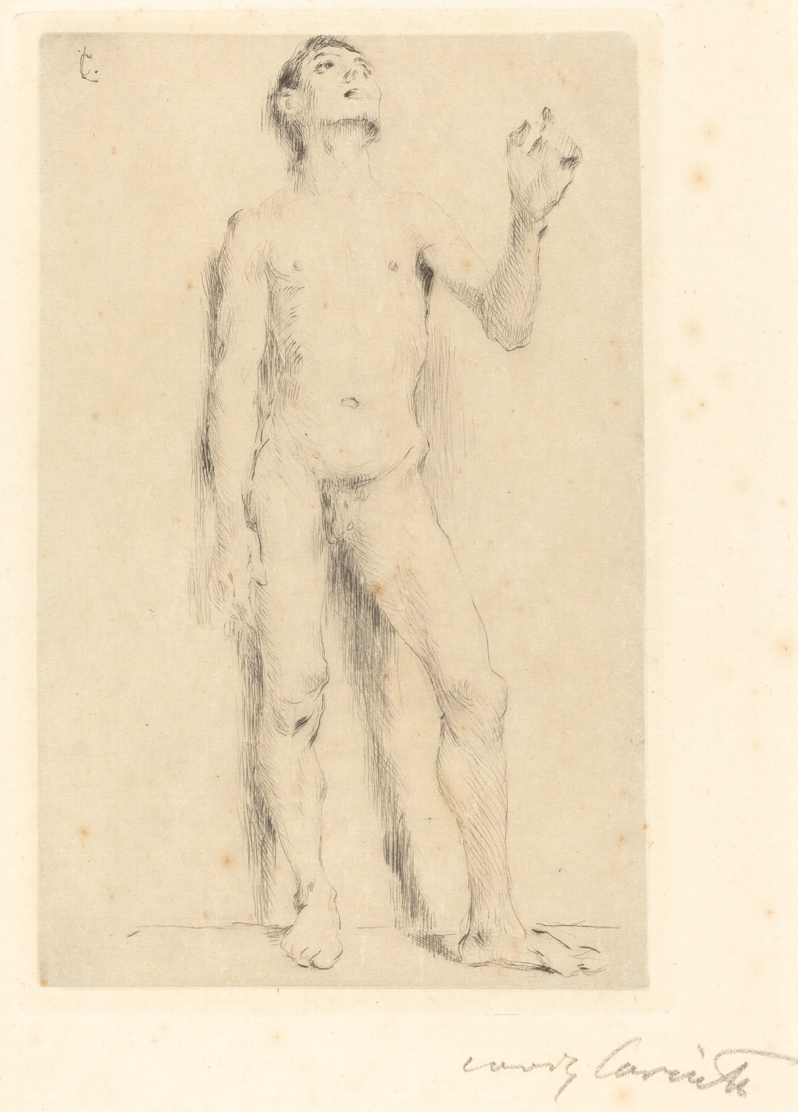 Young Male Nude Junglingsakt Wall Art by Lovis Corinth - Canvas Print