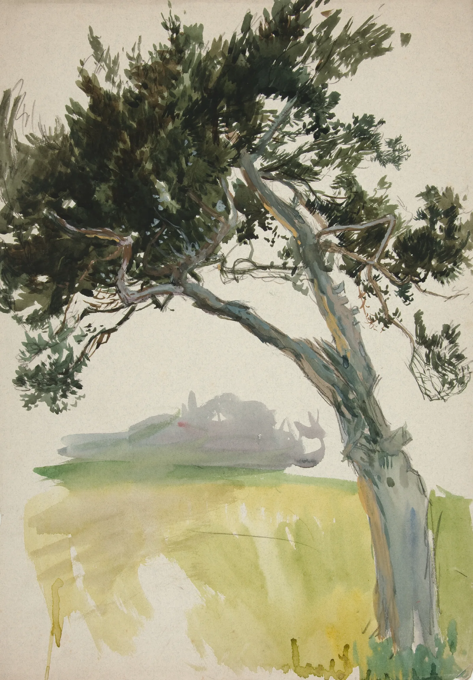 Study Of A Tree And Field Wall Art by Edwin Austin Abbey - Canvas Print
