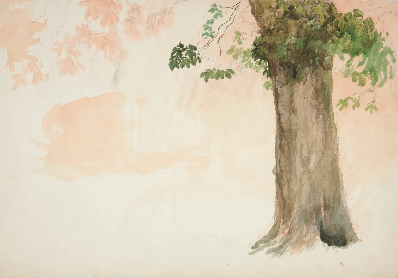 Study Of A Tree Trunk Wall Art by Edwin Austin Abbey - Canvas Print