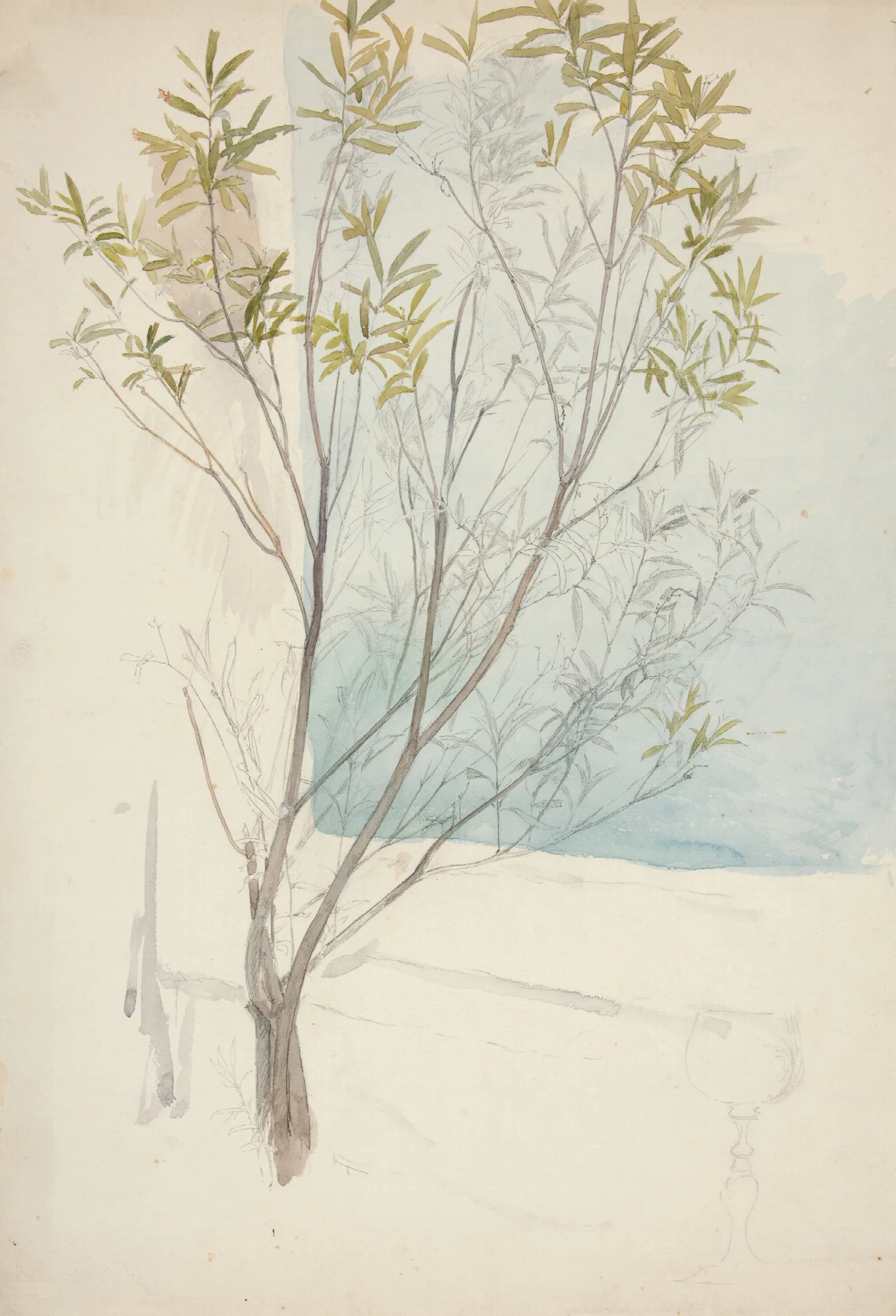 Study Of A Tree Wall Art by Edwin Austin Abbey - Canvas Print