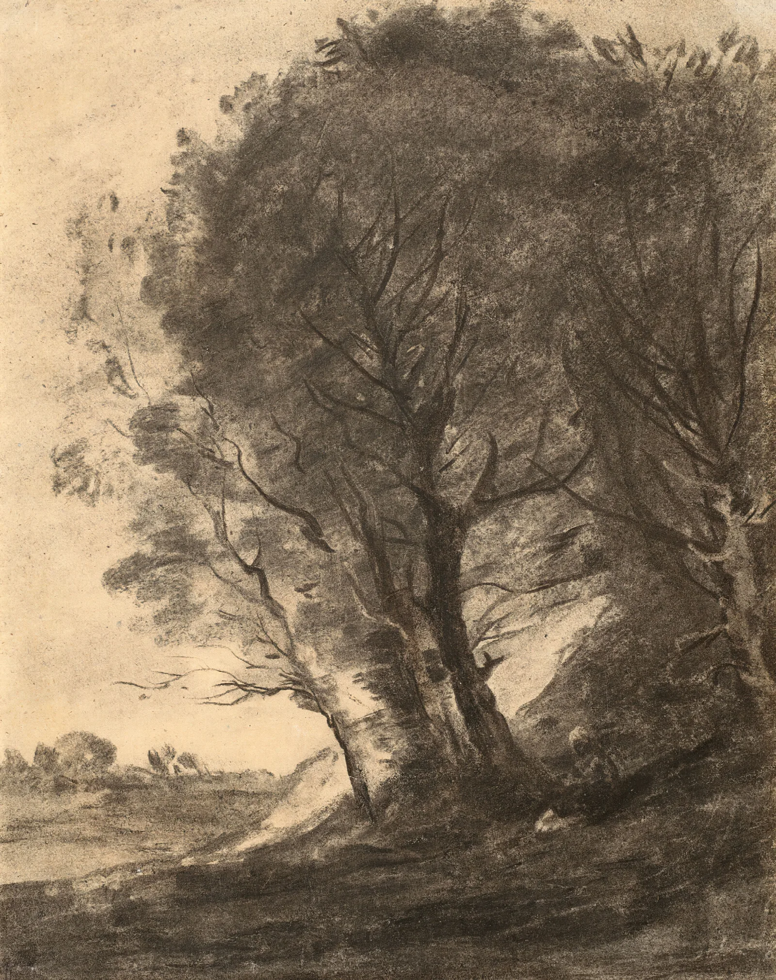 Figure Assise Dans Un Paysage Arbore Wall Art by Jean-Baptiste-Camille Corot - Canvas Print