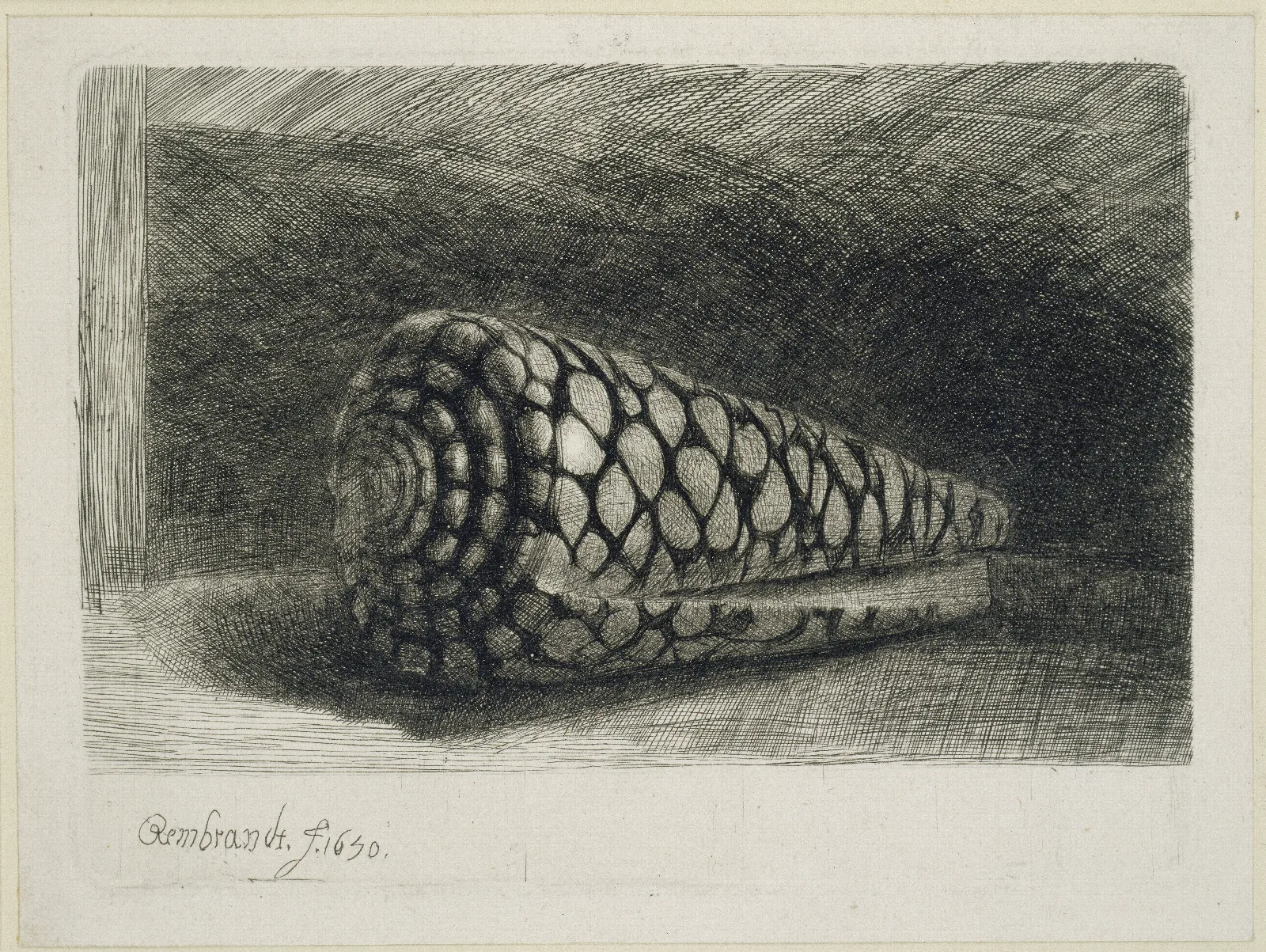 The Shell Wall Art by Rembrandt van Rijn - Canvas Print