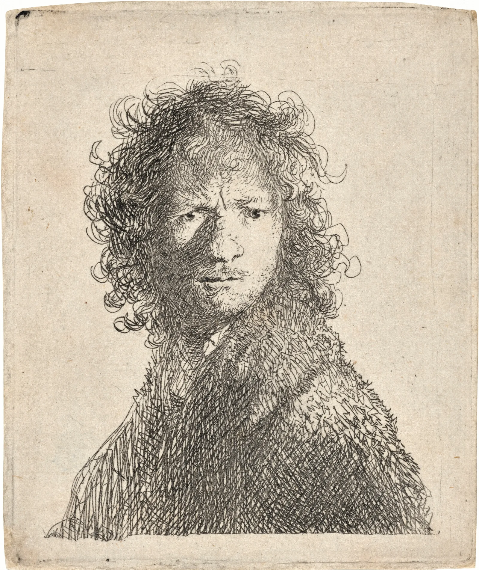 Self Portrait Frowning Bust Wall Art by Rembrandt van Rijn - Canvas Print