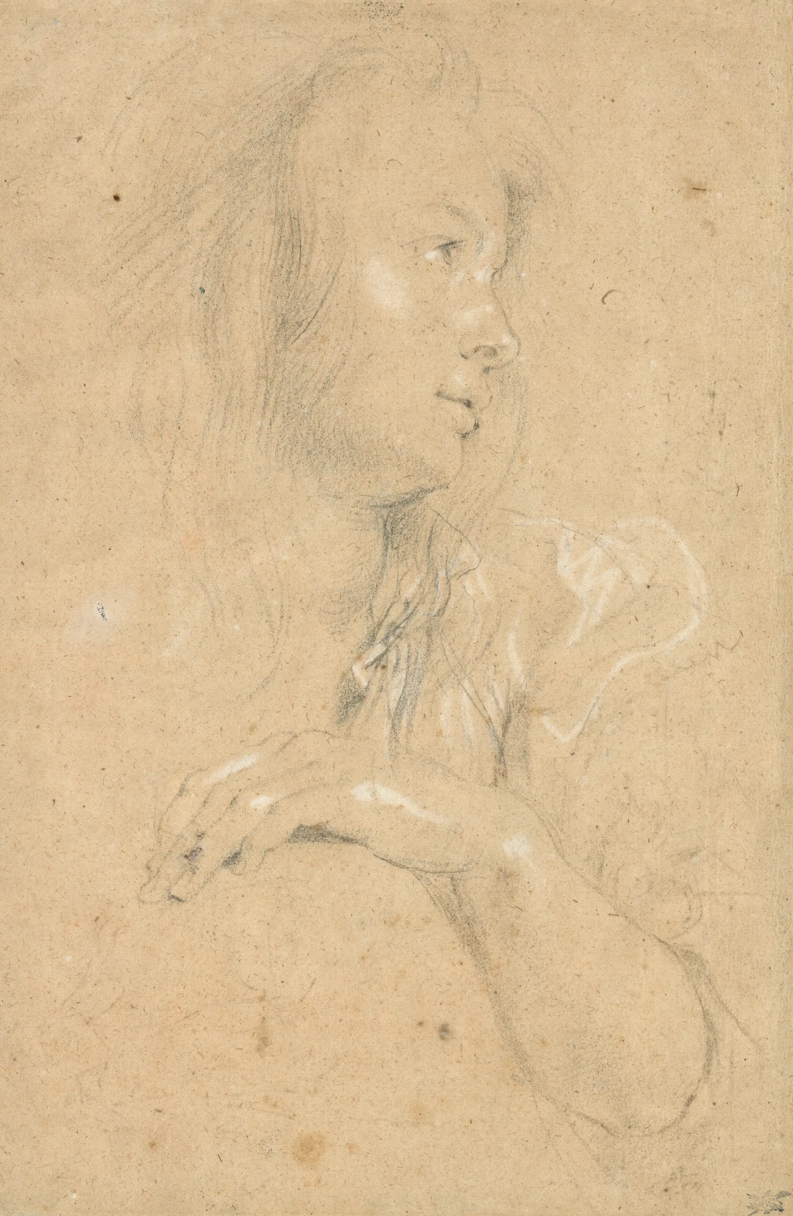 Young Woman In Profile 2 Wall Art by Peter Paul Rubens - Canvas Print