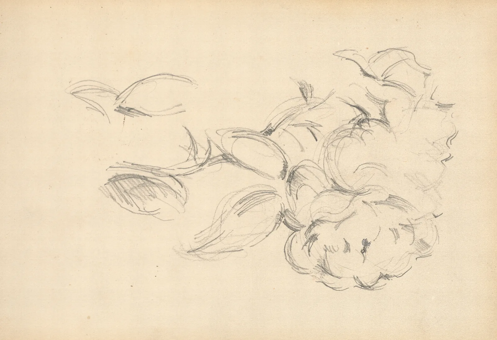 Peonies 2 Wall Art by Paul Cézanne - Canvas Print