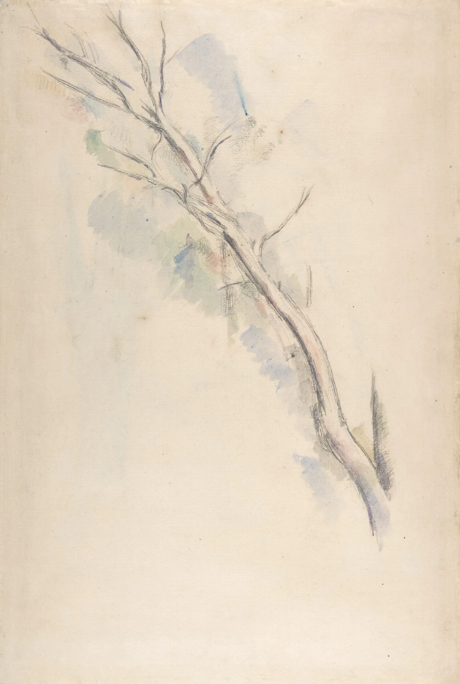 Study Of A Tree 4 Wall Art by Paul Cézanne - Canvas Print