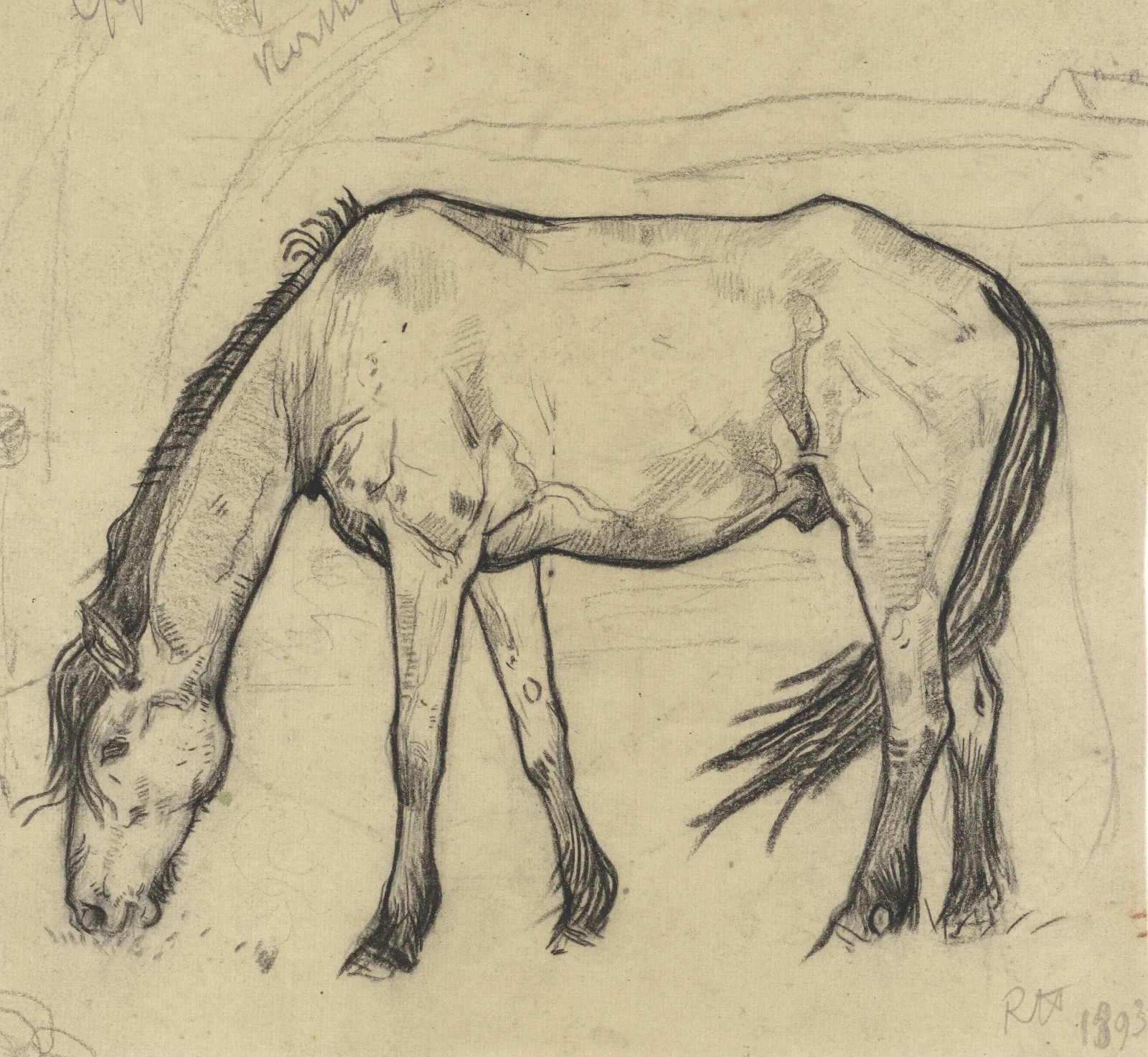 Grazend Paard Te Noordwijk Wall Art by Richard Nicolaüs Roland Holst - Canvas Print