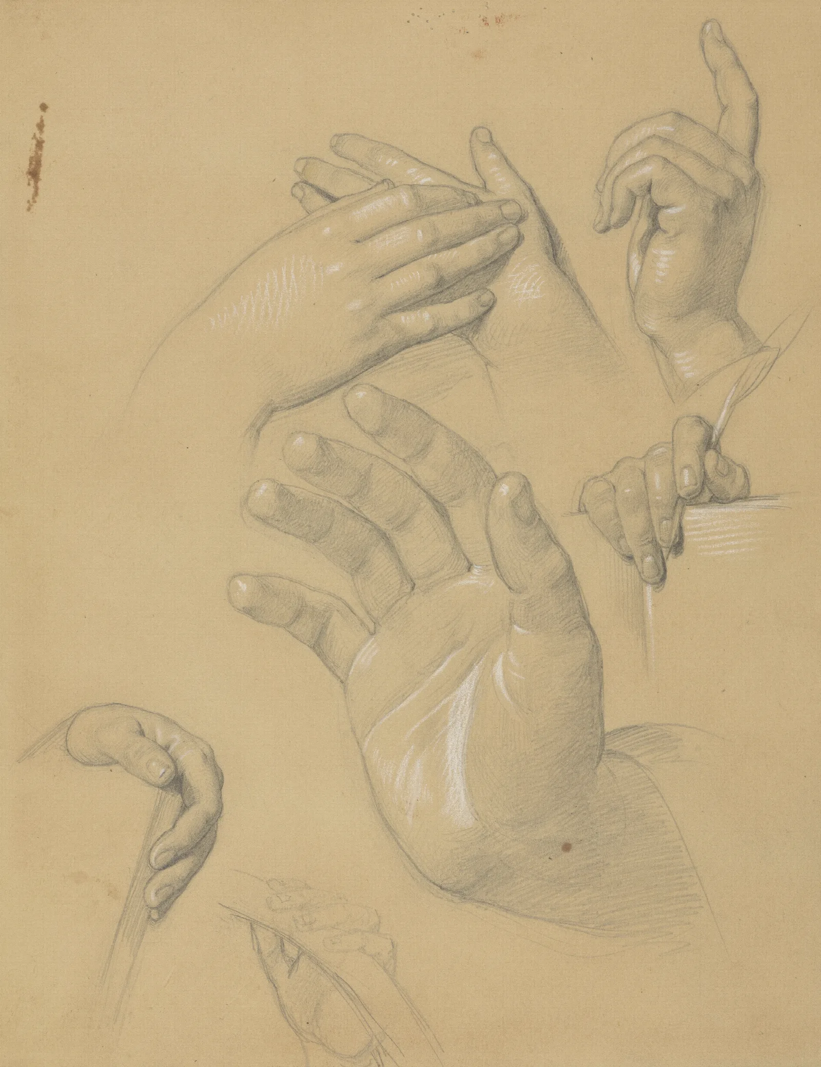 Studies Of Hands For The Painting The Immaculate Conception Of The Blessed Virgin Mary Wall Art by Józef Simmler - Canvas Print