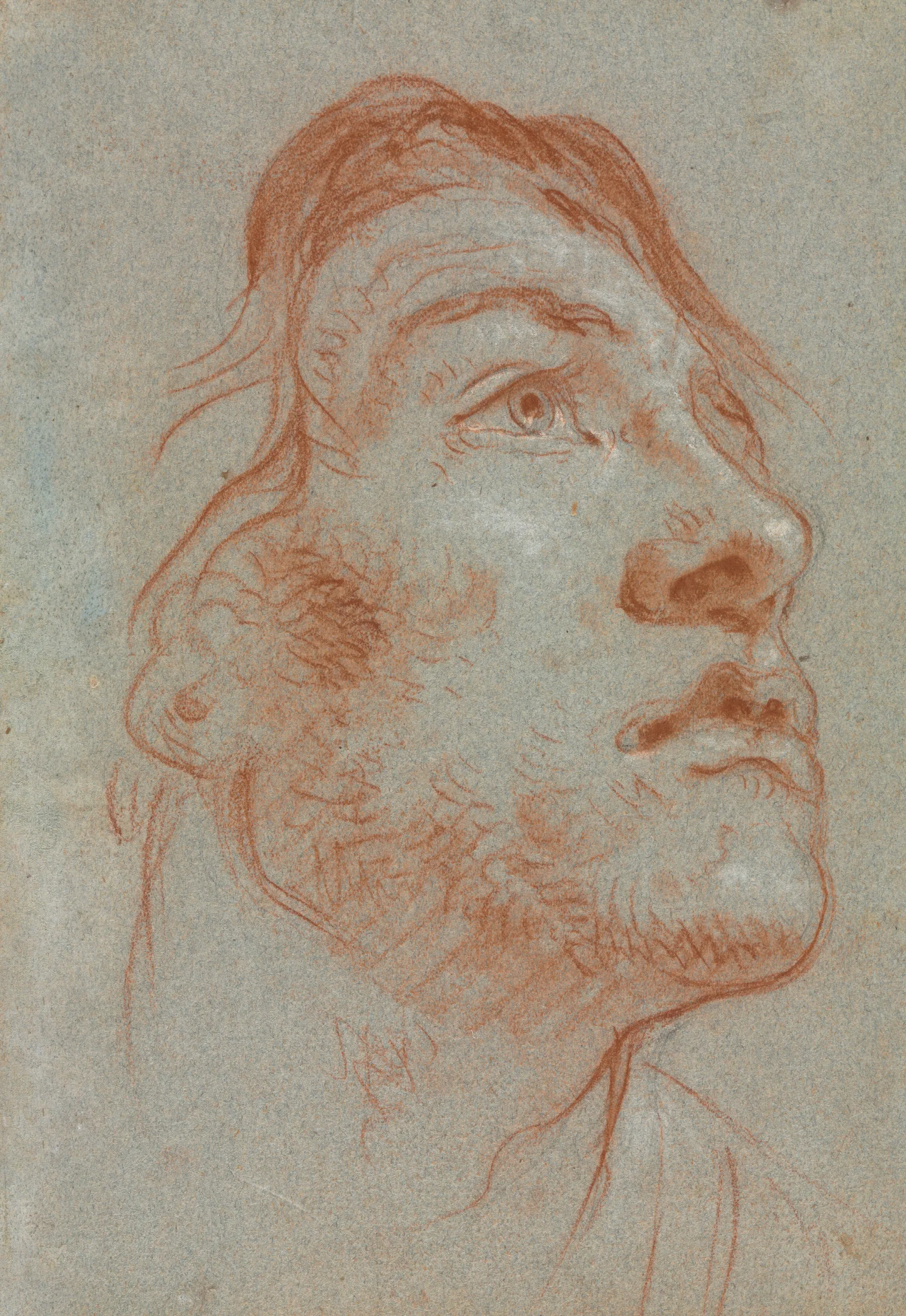 The Head Of A Young Man Looking Upwards To The Right Wall Art by Giovanni Battista Tiepolo - Canvas Print