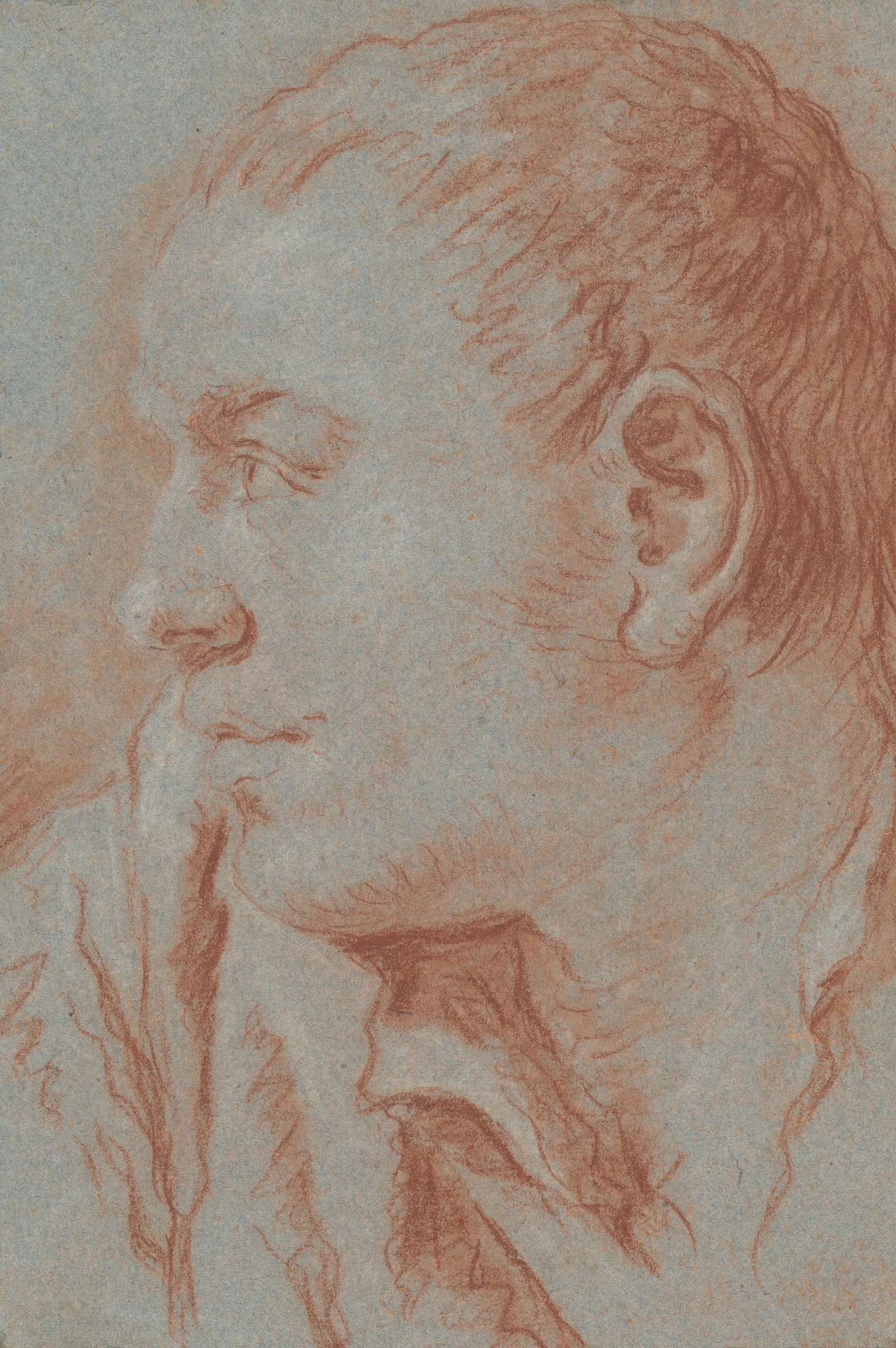 Head Of A Young Man In Profile Wall Art by Giovanni Battista Tiepolo - Canvas Print