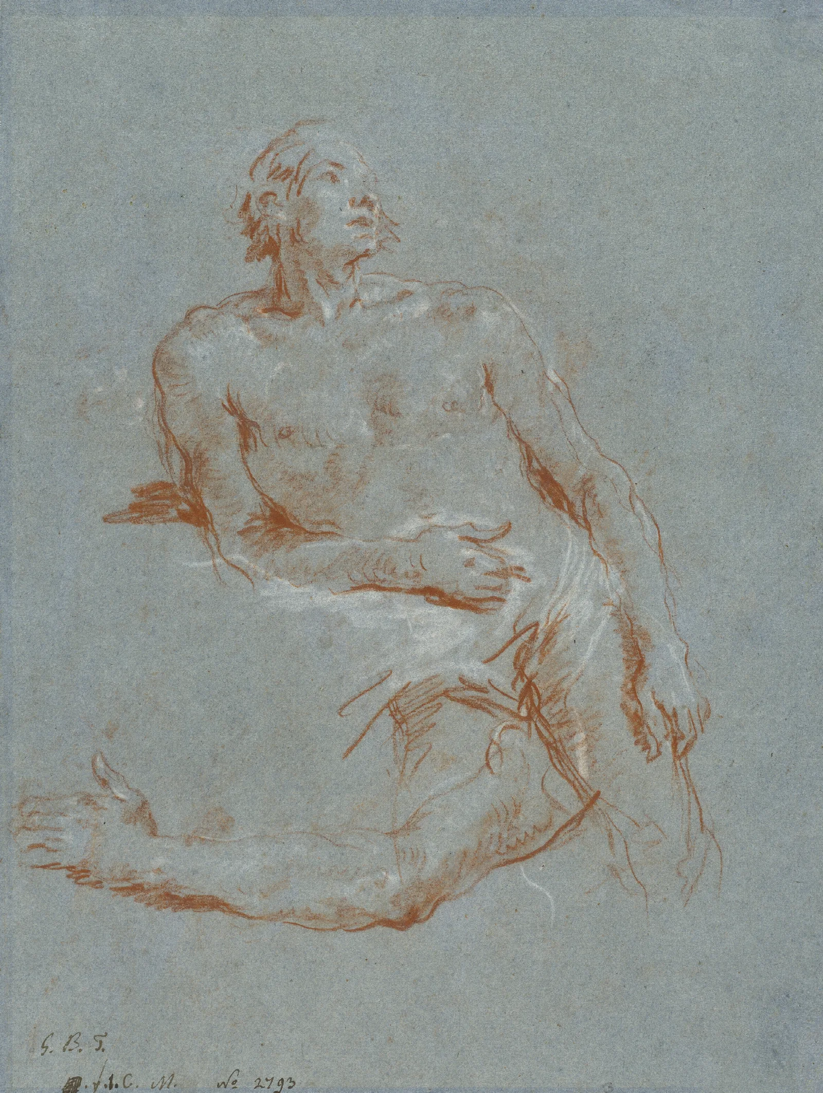 Male Nude Leaning On His Elbow Verso Wall Art by Giovanni Battista Tiepolo - Canvas Print