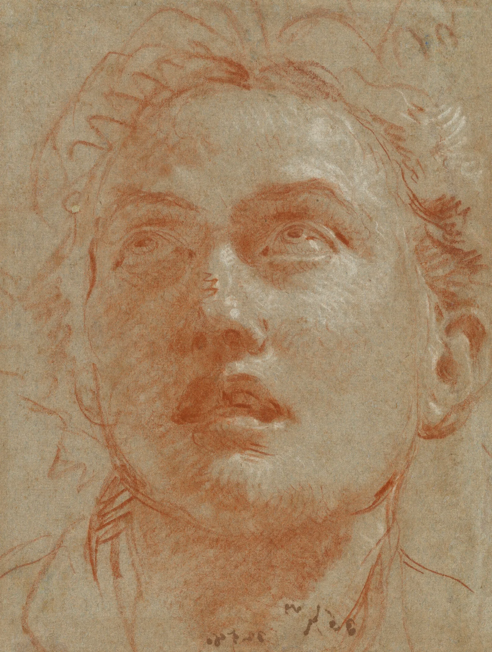 Head Of A Man Looking Up 2 Wall Art by Giovanni Battista Tiepolo - Canvas Print