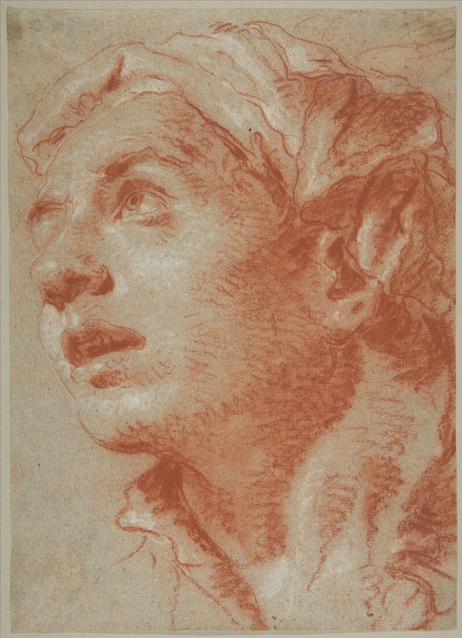 Head Of A Young Man In Three Quarter View Wall Art by Giovanni Battista Tiepolo - Canvas Print