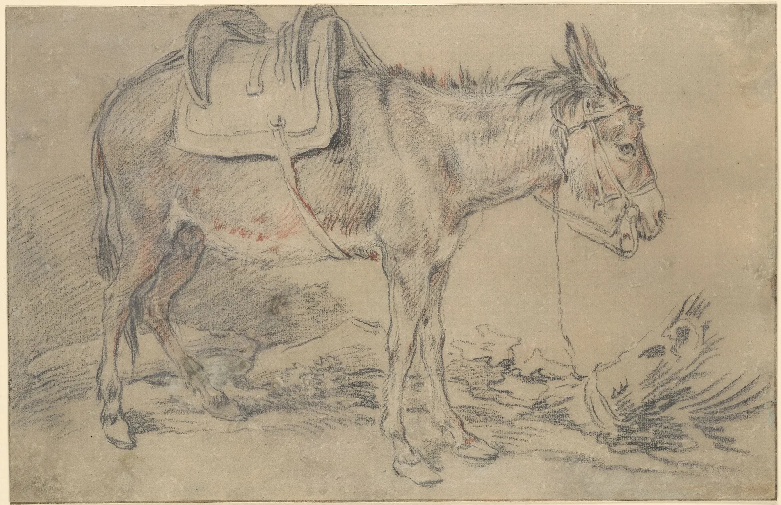 Saddled Donkey Wall Art by François Boucher - Canvas Print