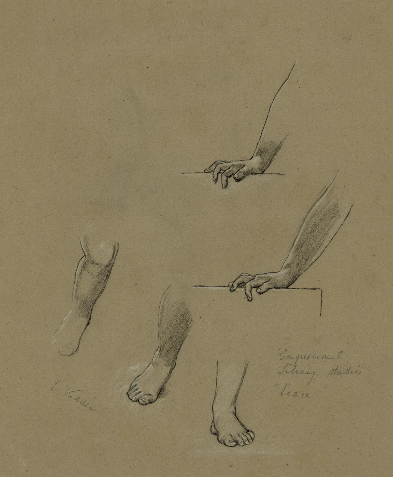 Study Of Hands And Feet For The Mural Peace And Prosperity Wall Art by Elihu Vedder - Canvas Print