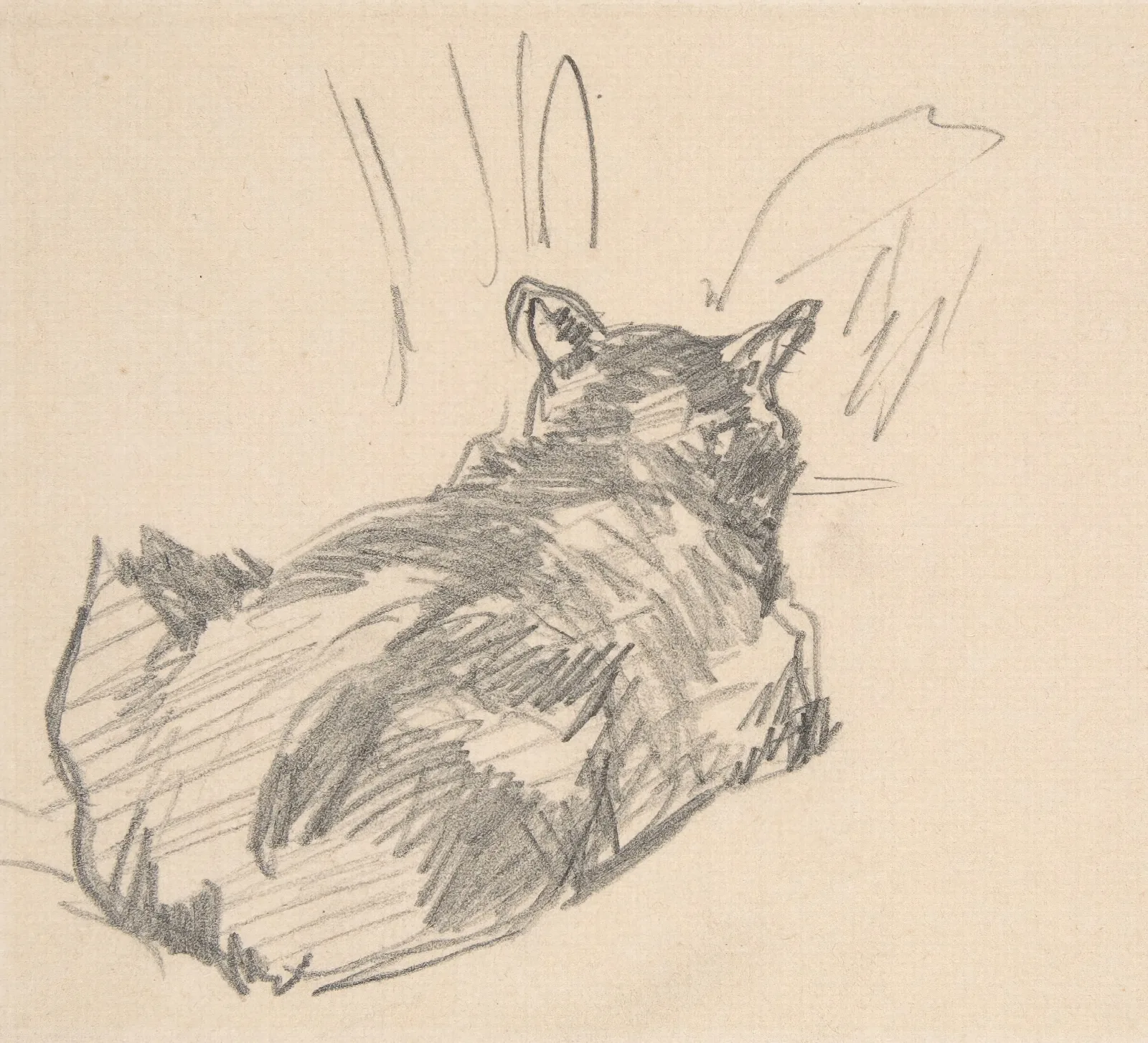 A Cat Resting On All Fours Seen From Behind Wall Art by Édouard Manet - Canvas Print