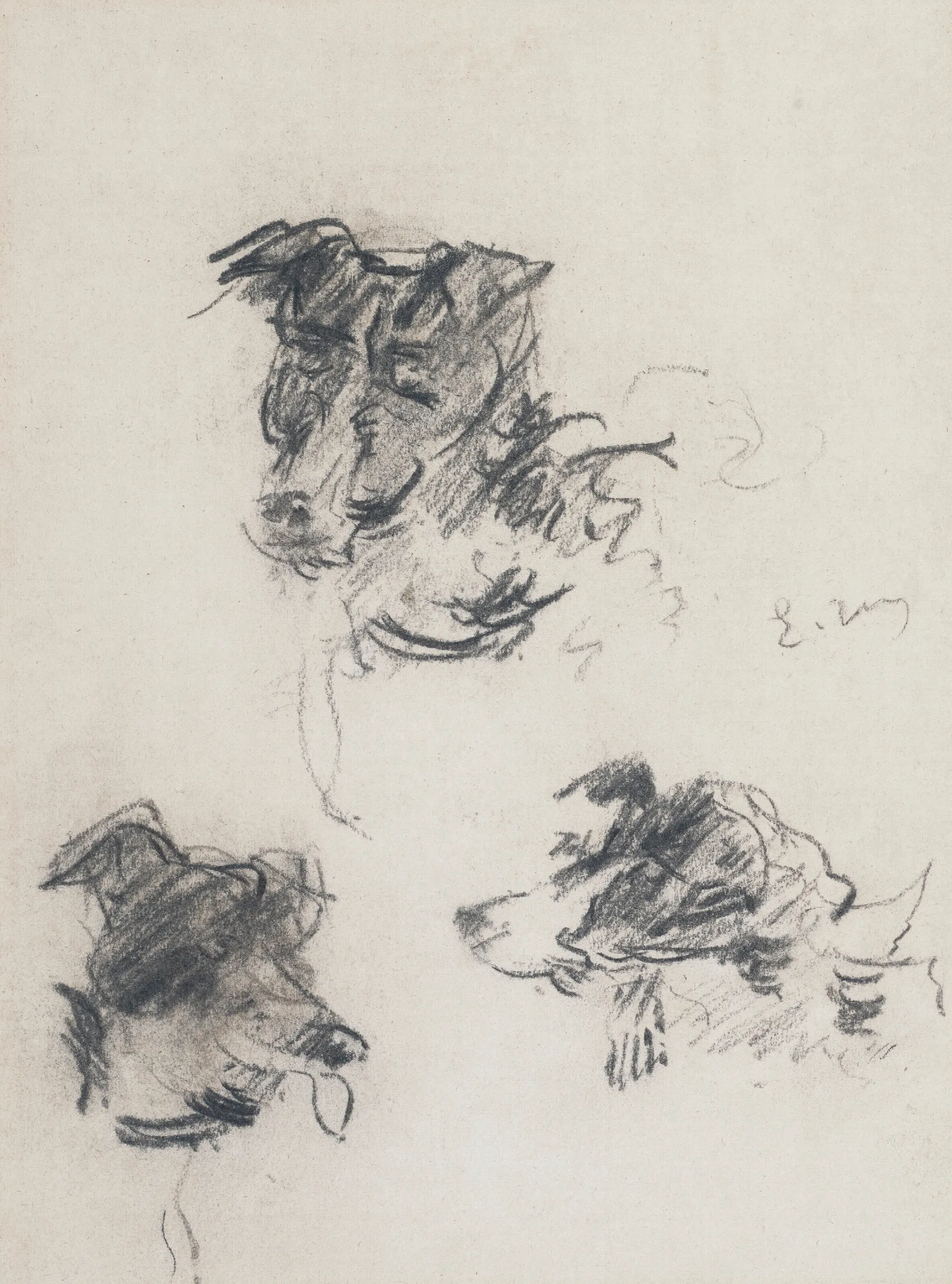 Tetes De Chiens Wall Art by Édouard Manet - Canvas Print