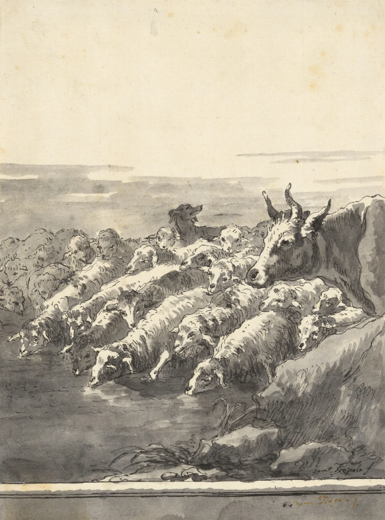 A Flock Of Sheep Drinking At A Pool With A Bullock And A Dog Wall Art by Giovanni Domenico Tiepolo - Canvas Print