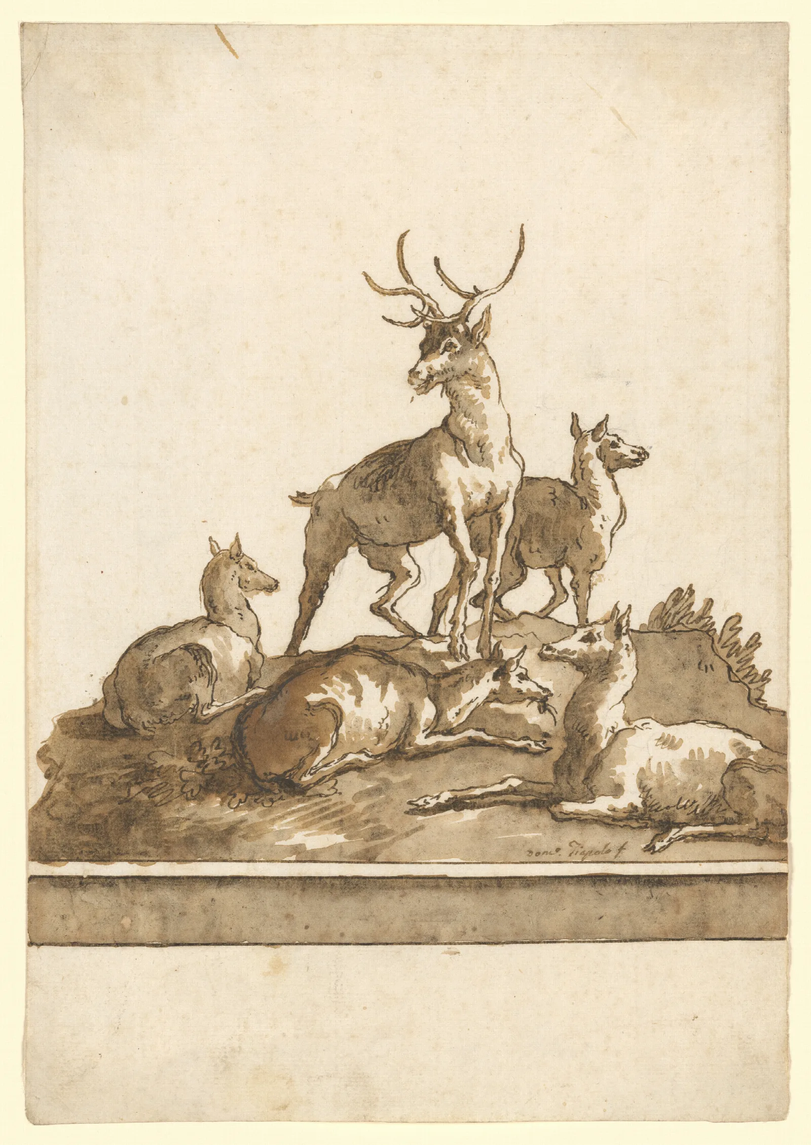 A Stag And Four Hinds On A Grassy Knoll With Base Wall Art by Giovanni Domenico Tiepolo - Canvas Print