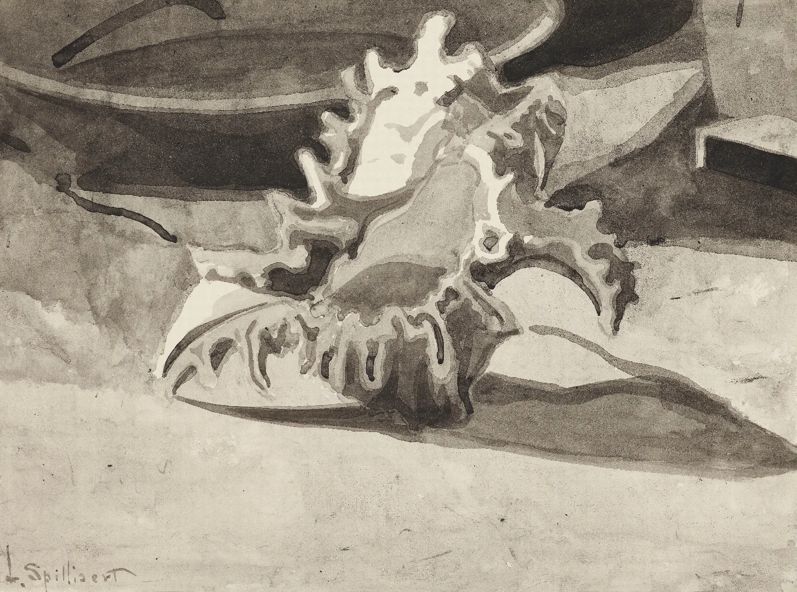 Coquillage Wall Art by Léon Spilliaert - Canvas Print